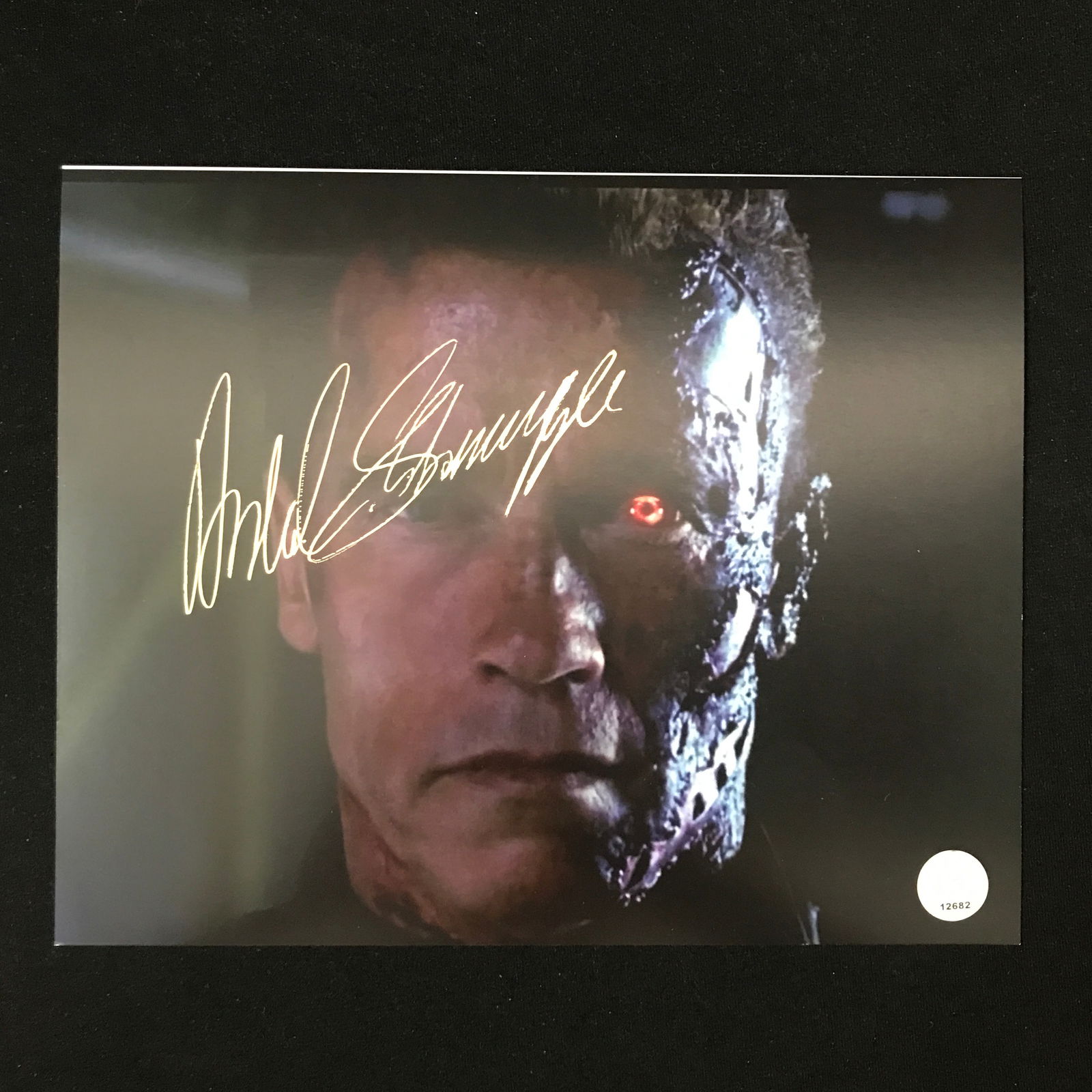 ARNOLD SCHWARZENEGGER SIGNED 8X10 PHOTO KB AUTHENTICS COA (1 of 1)