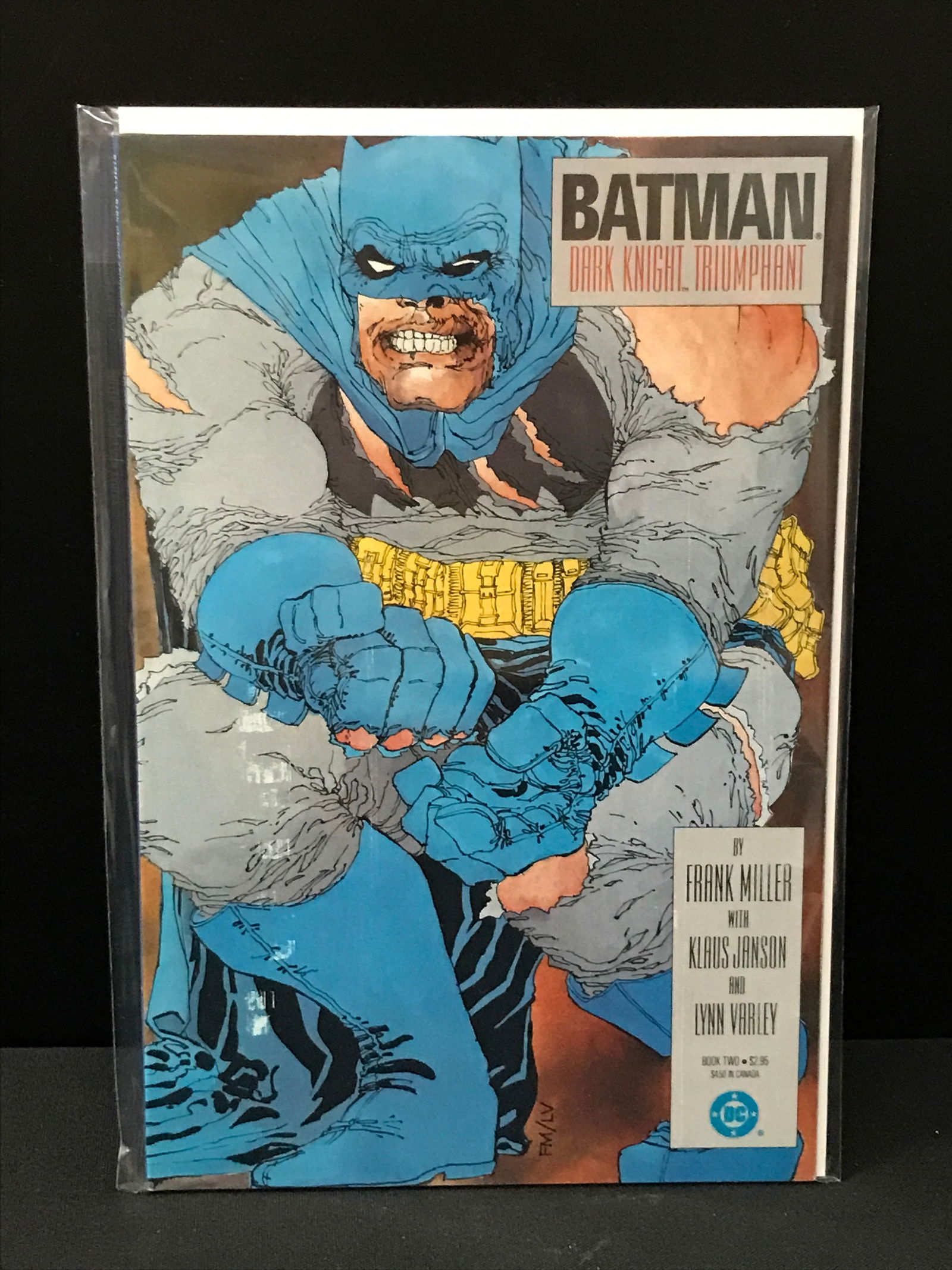 DC COMICS BOOK TWO BATMAN DARK KNIGHT TRIUMPHANT (1 of 1)