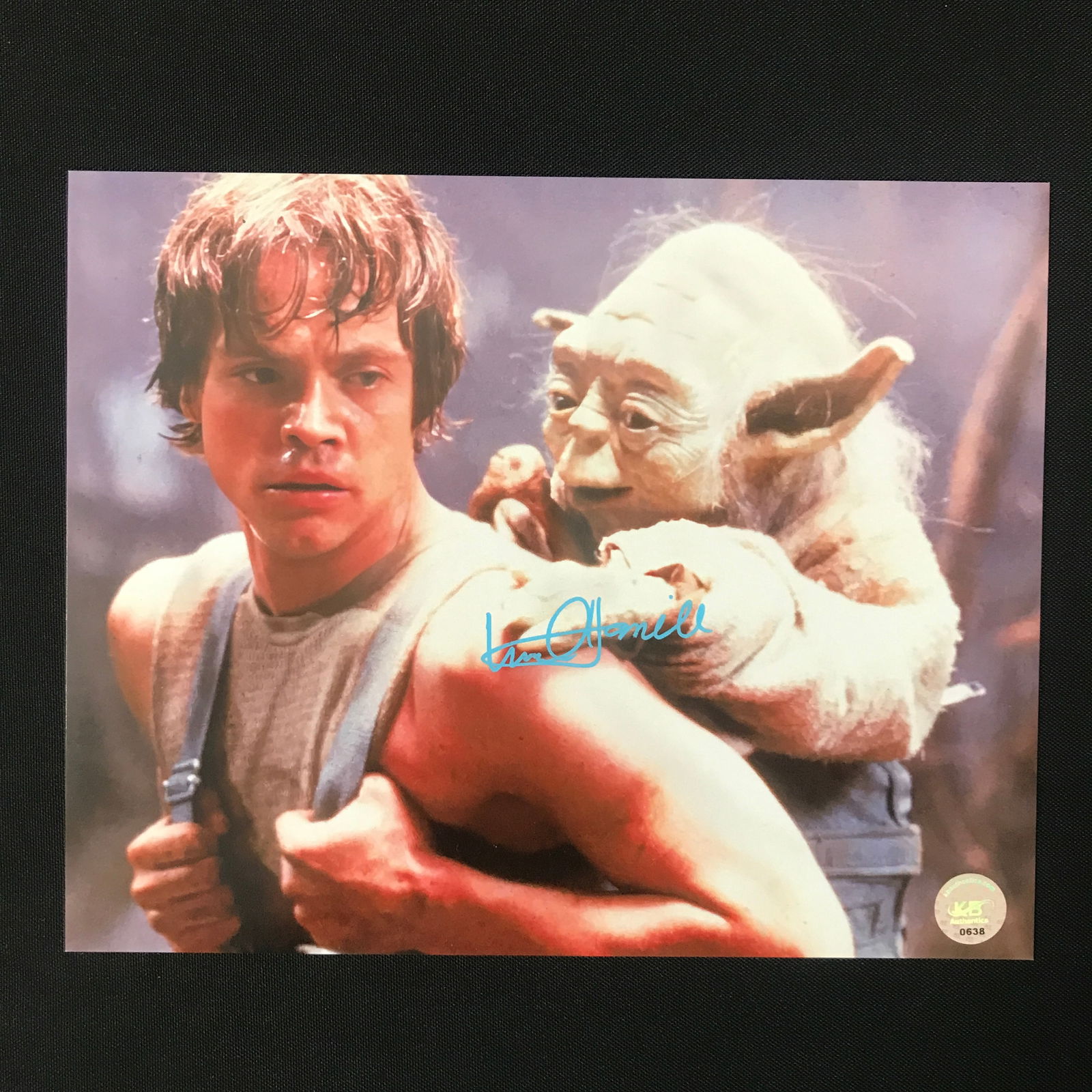 MARK HAMILL SIGNED STAR WARS 8X10 - KB COA (1 of 1)