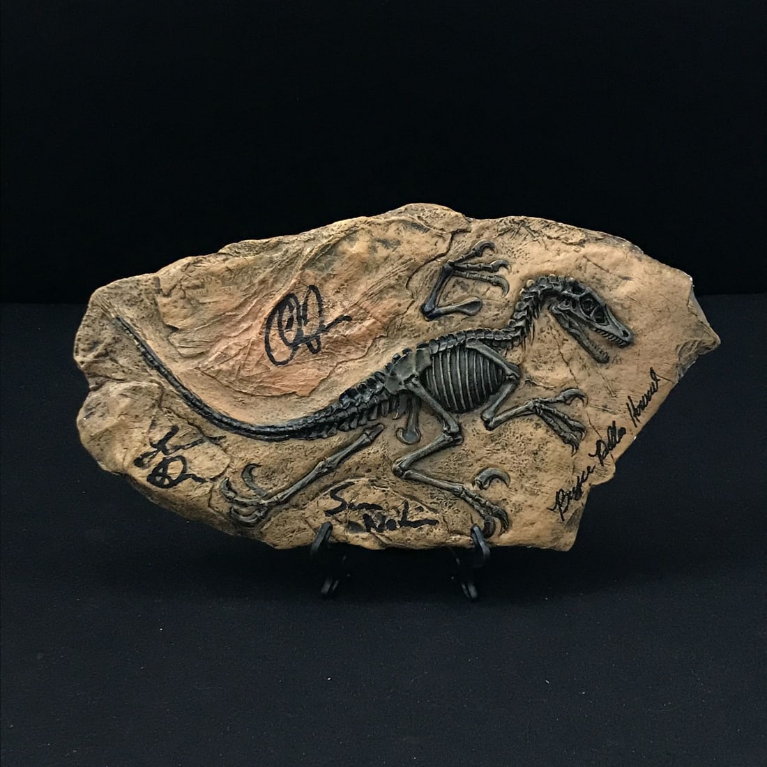 CHRIS PRATT, BRYCE DALLAS HOWARD, SAM NEIL, LAURA DERN SIGNED JRASSIC PARK FOSSIL (KB COA): Prices are in Canadian dollars