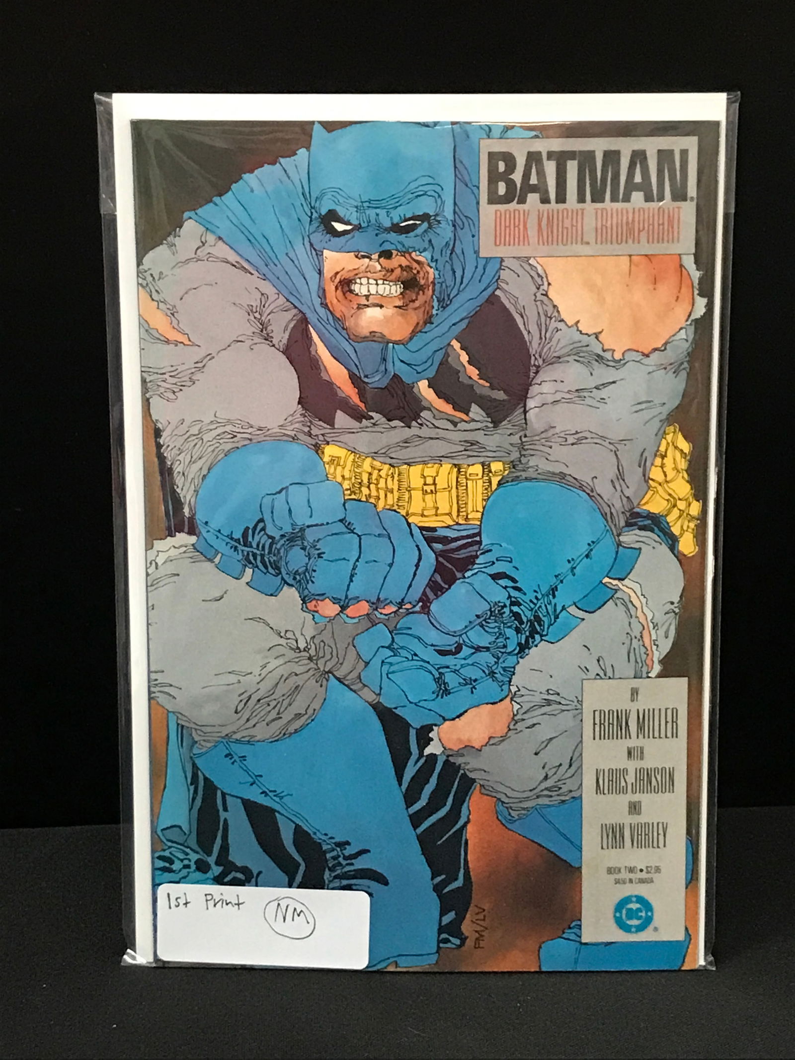 DC COMICS BOOK 2 BATMAN DARK KNIGHT TRIUMPHANT (1 of 1)