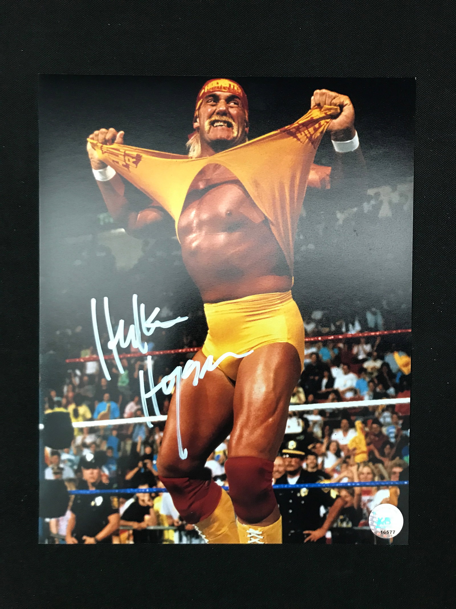 HULK HOGAN SIGNED 8X10 PHOTO KB AUTHENTICS COA (1 of 1)