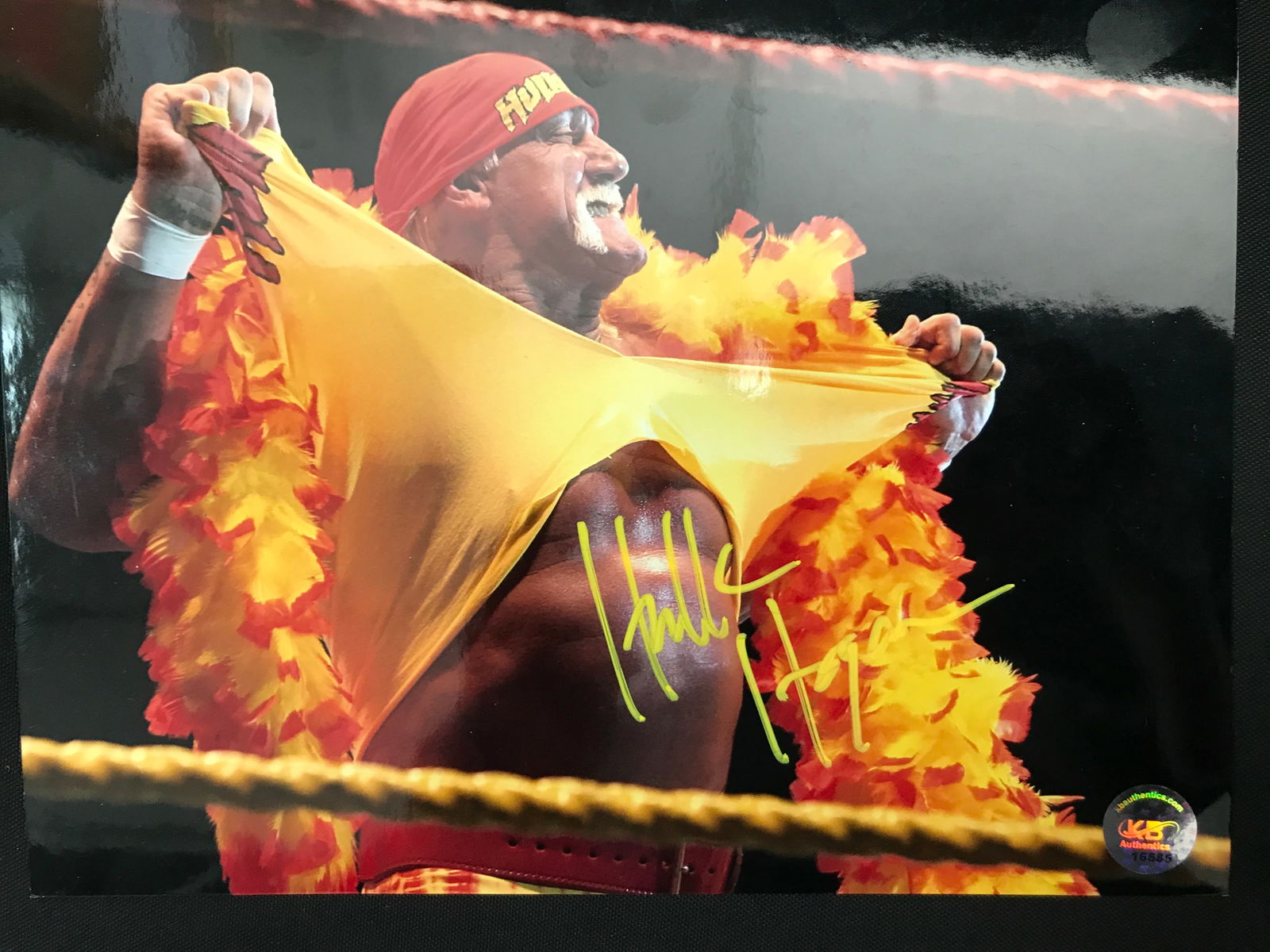 HULK HOGAN SIGNED WWF 8X10 - KB COA (1 of 1)