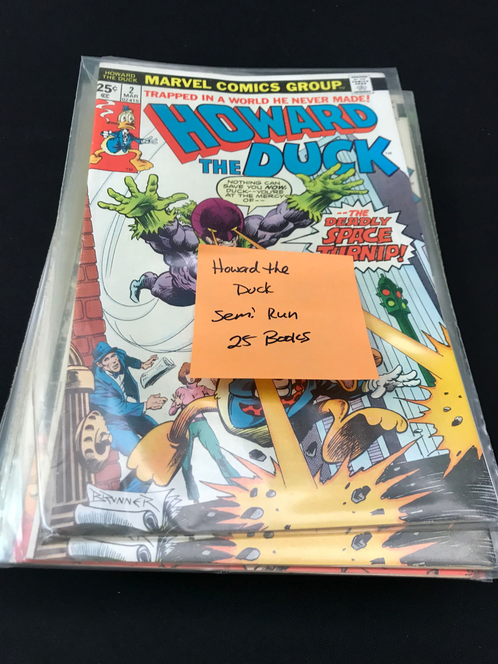 HOWARD THE DUCK SEMI RUN 25 COMICS (1 of 1)