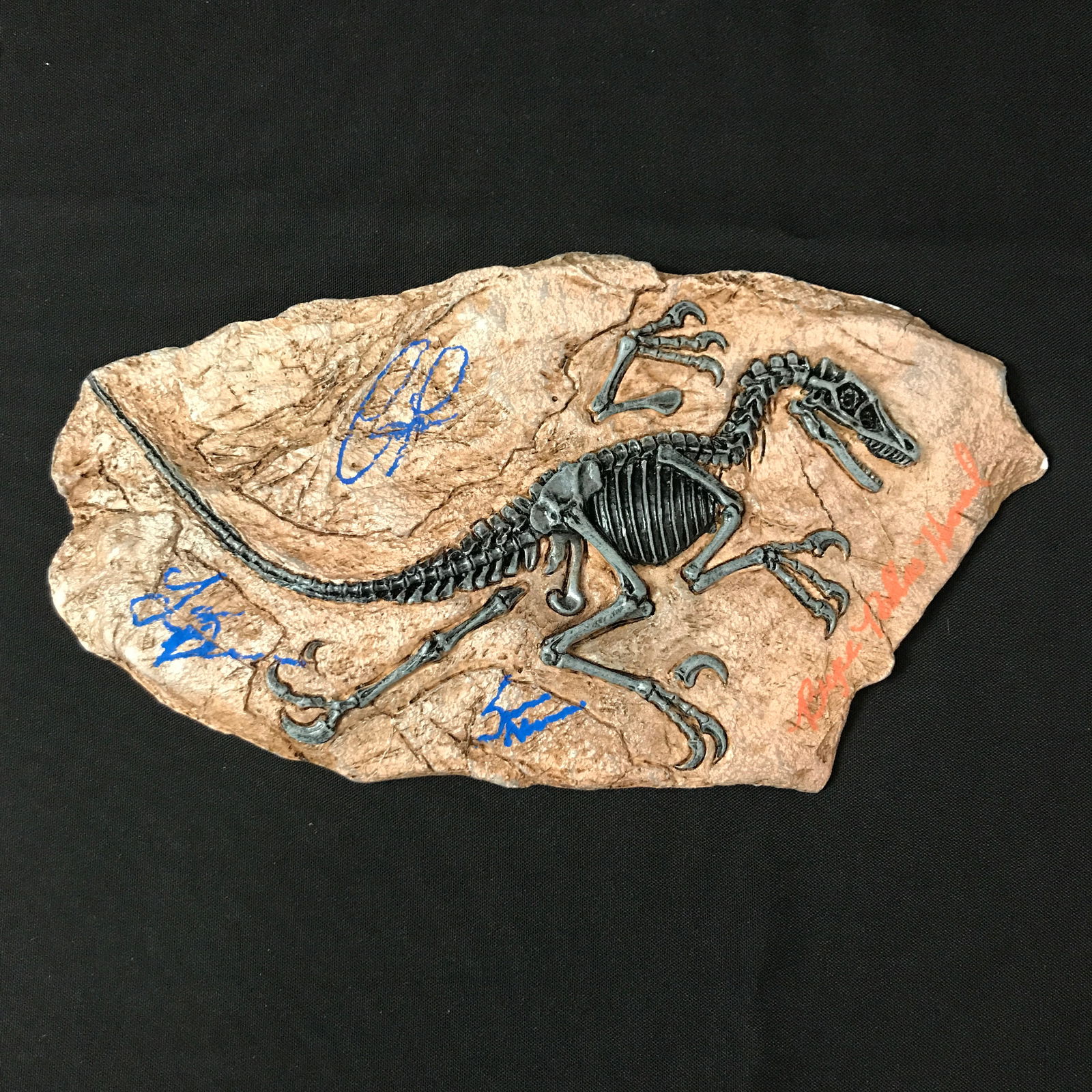 JURASSIC PARK FOSSIL SIGNED PRATT, DERN, NEIL AND DALLAS HOWARD (KB COA): Prices are in Canadian dollars