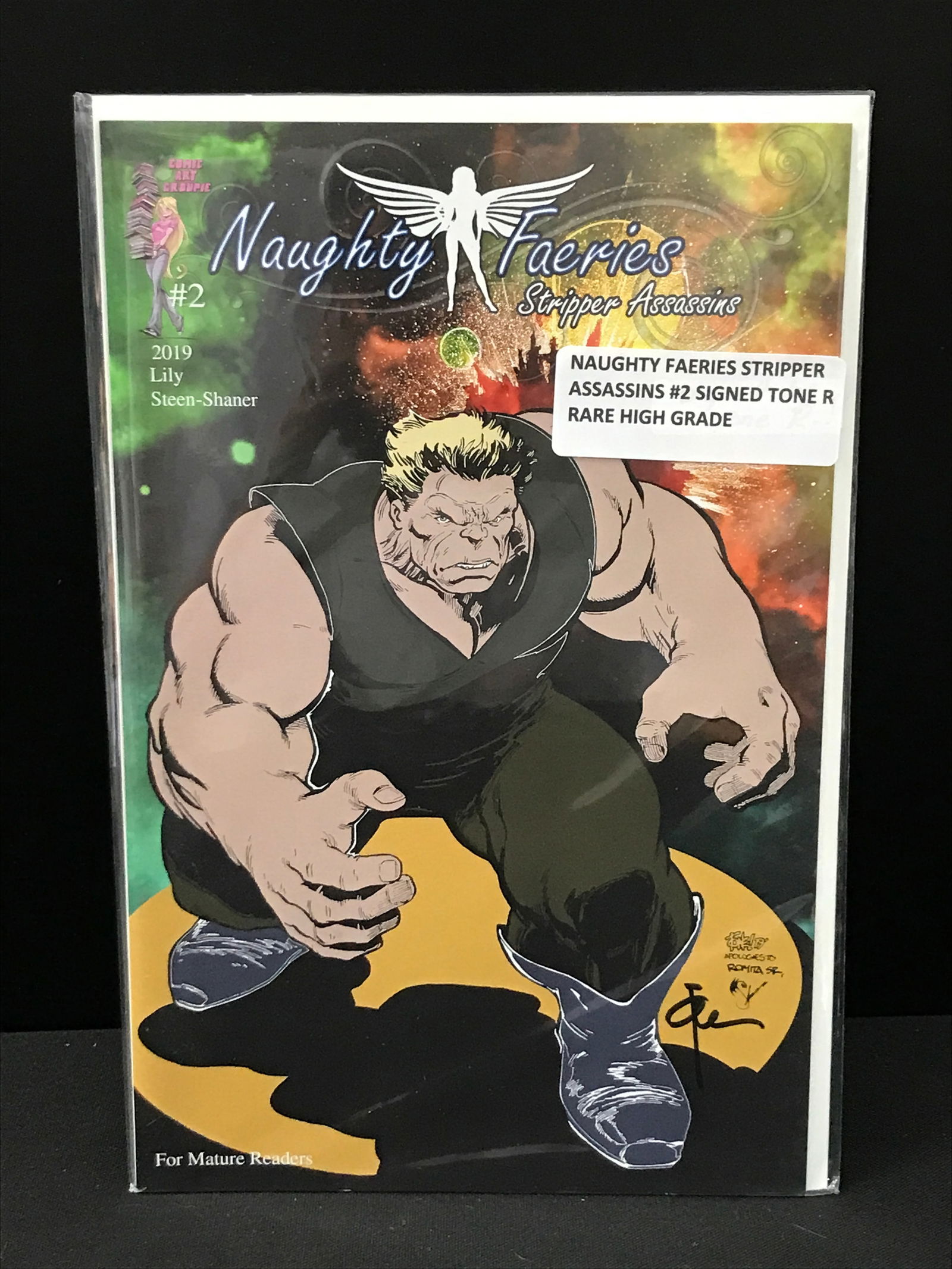 NAUGHTY FAERIES STRIPPER ASSASSINS #2 SIGNED TONE R - COMICS ART GROUPIE (1 of 1)
