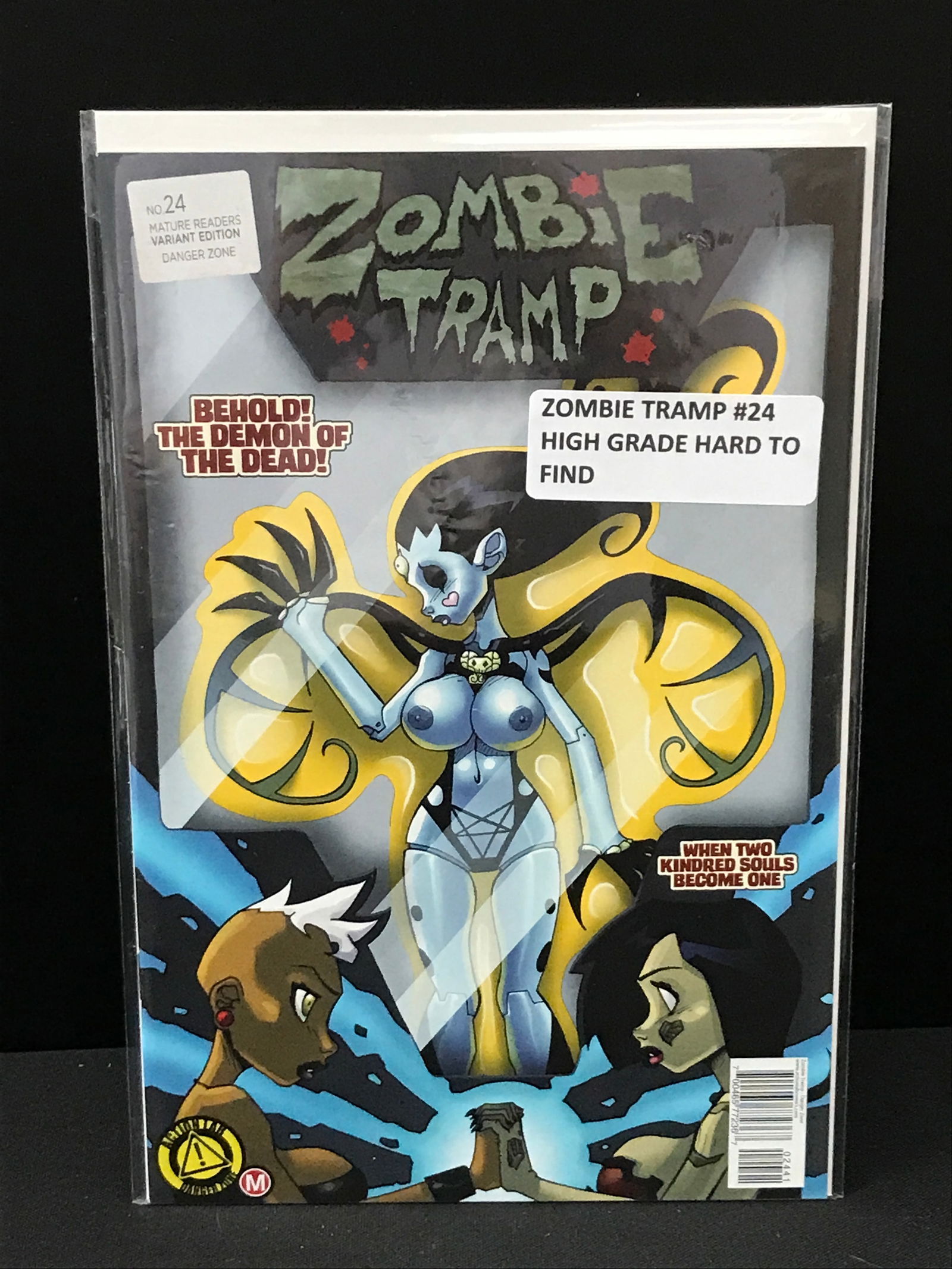 ZOMBIE TRAMP #24 VARIANT EDITION - ACTION LAB COMICS (1 of 1)