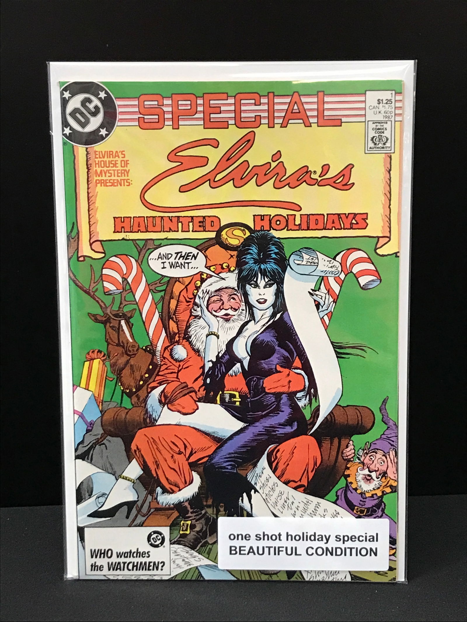 DC COMICS NO.1 ELVIRAS HAUNTED HOLIDAYS SPECIAL (1 of 1)