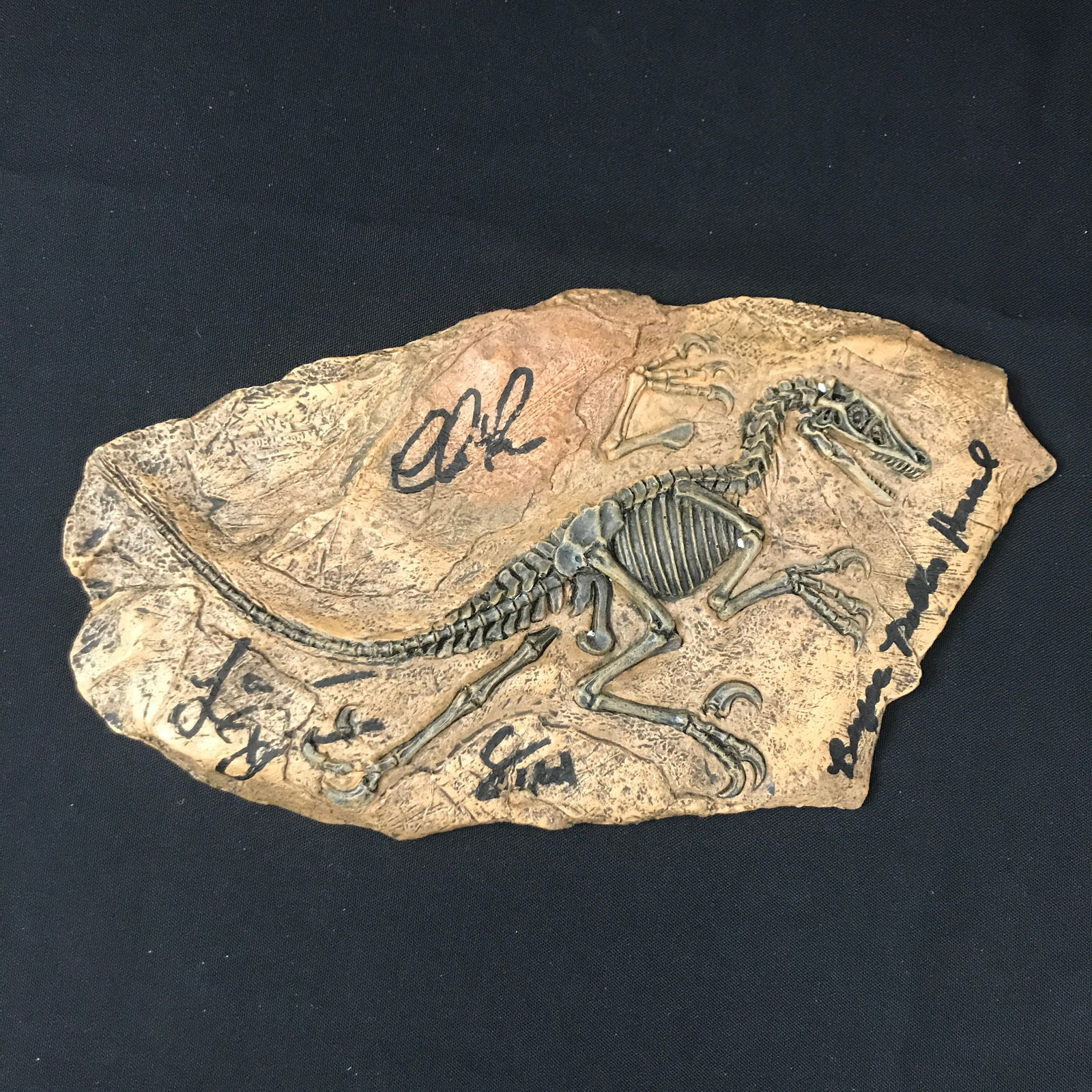 JURASSIC PARK RAPTOR FOSSIL SIGNED BY PRATT, HOWARS,DERN,NEIL (KB COA): Prices are in Canadian dollars