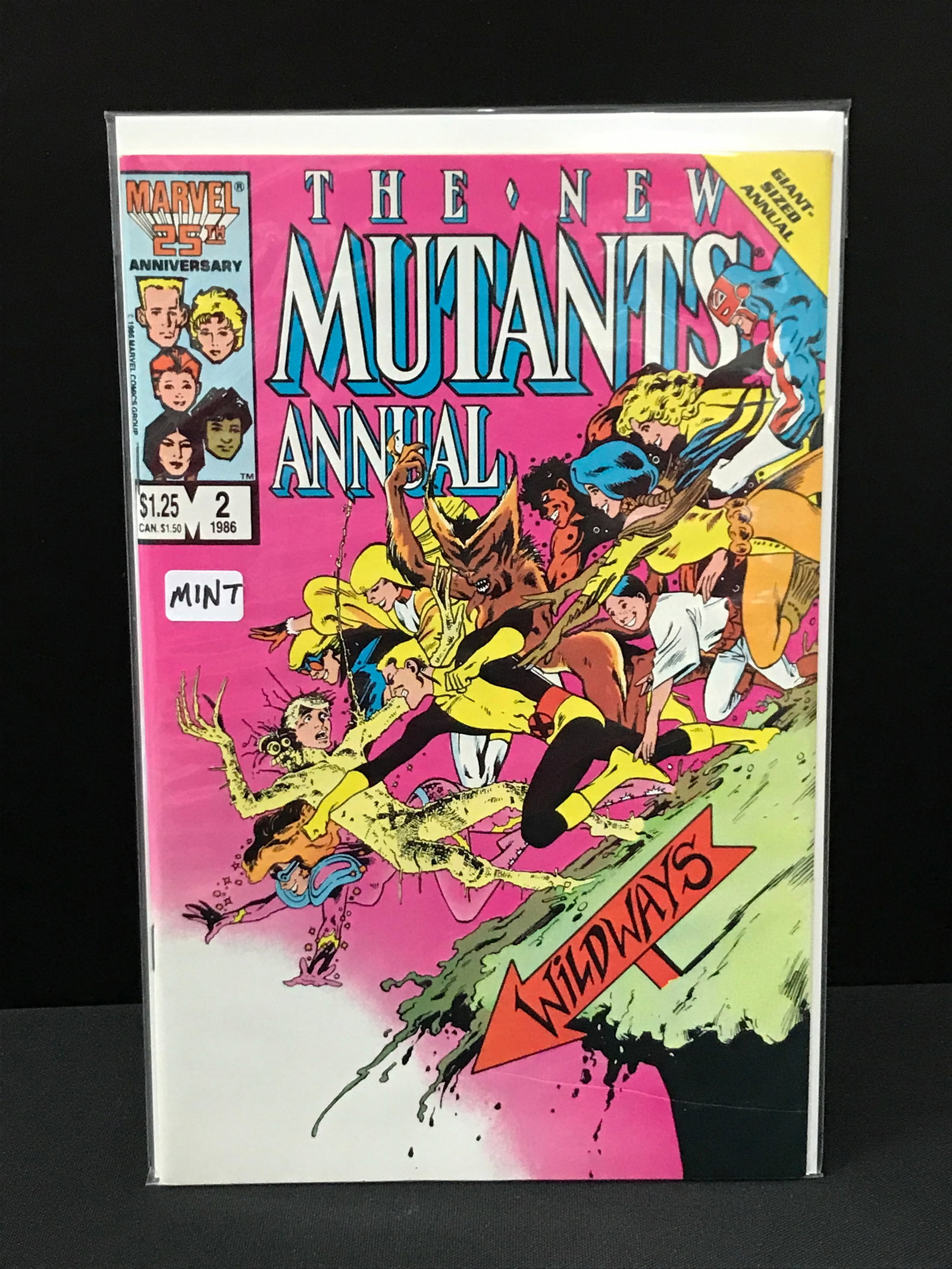 MARVEL COMICS NO.2 THE NEW MUTANTS ANNUAL (1 of 1)