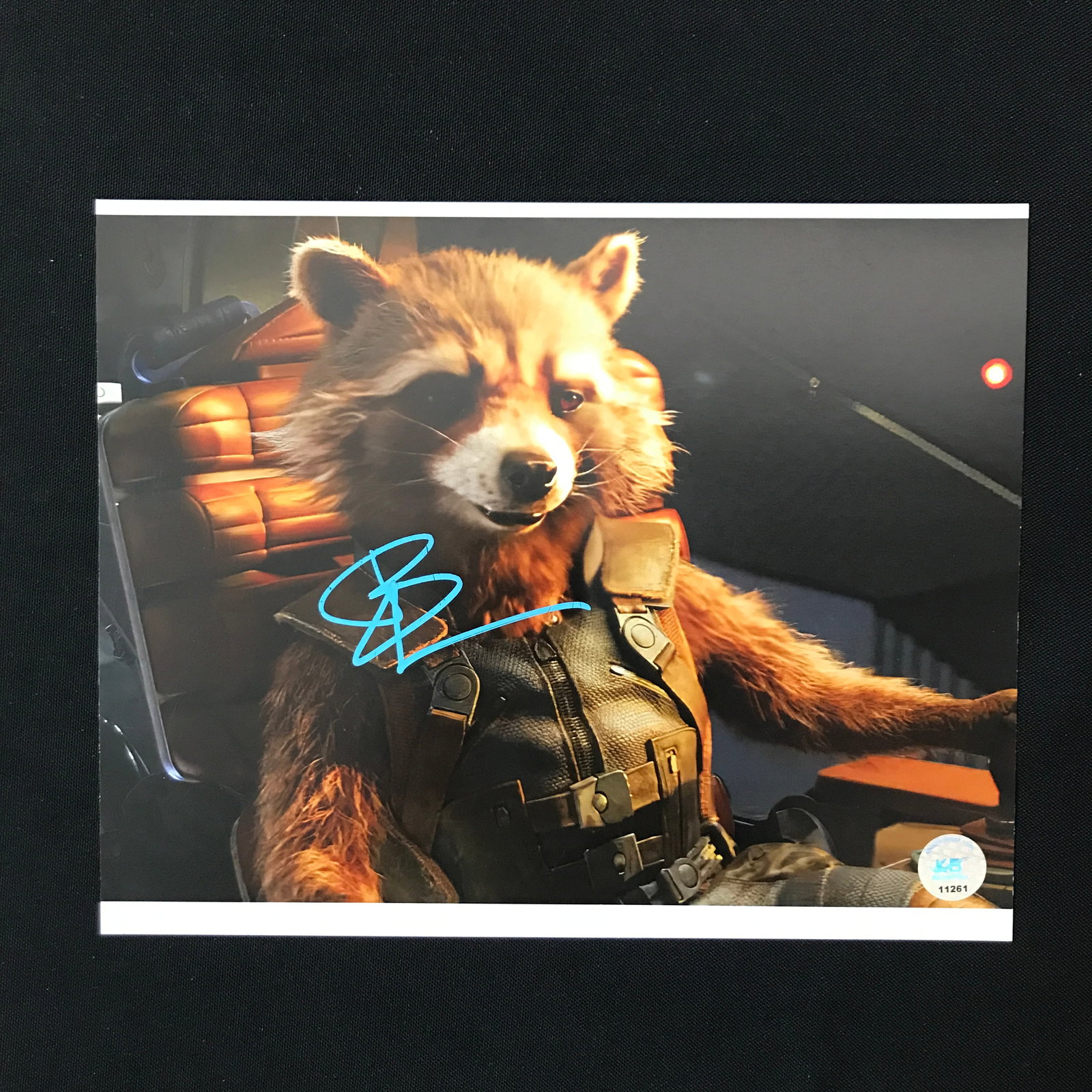 BRADLEY COOPER SIGNED ROCKET 8X10 - KB COA: Prices are in Canadian dollars