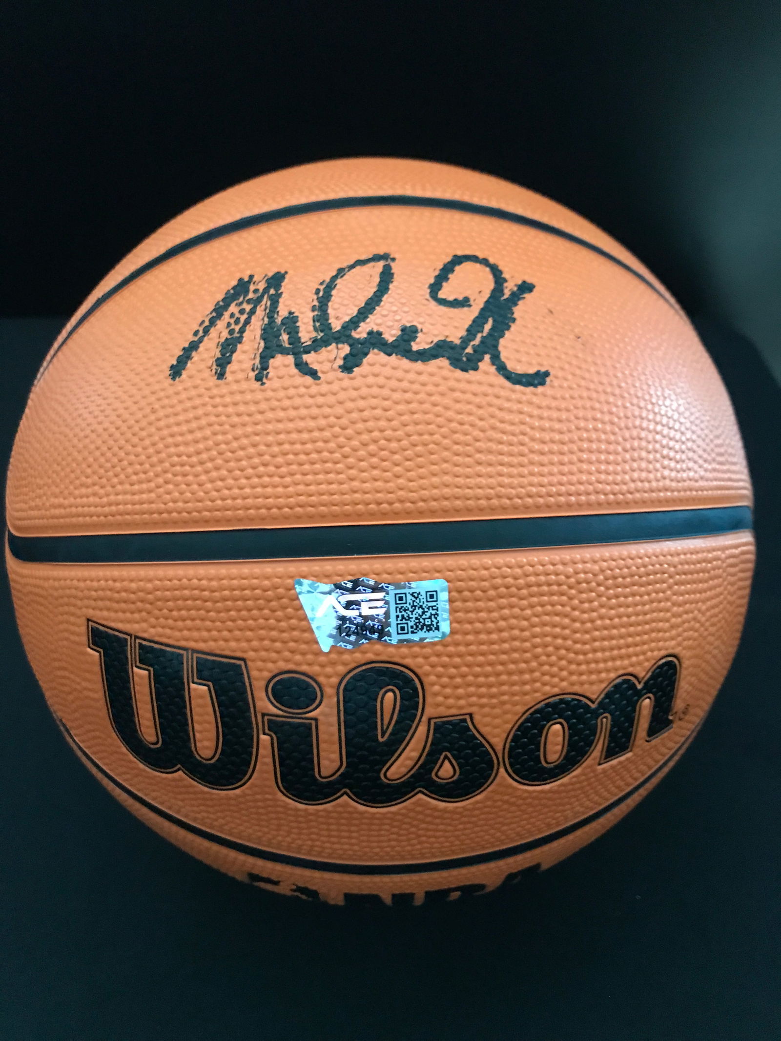 MAGIC JOHNSON SIGNED BASKETBALL ACE COA (1 of 1)
