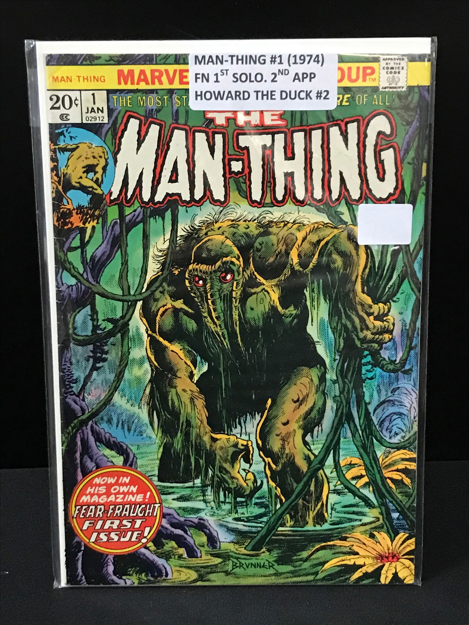 THE MAN-THING #1 - MARVEL COMICS (1 of 1)