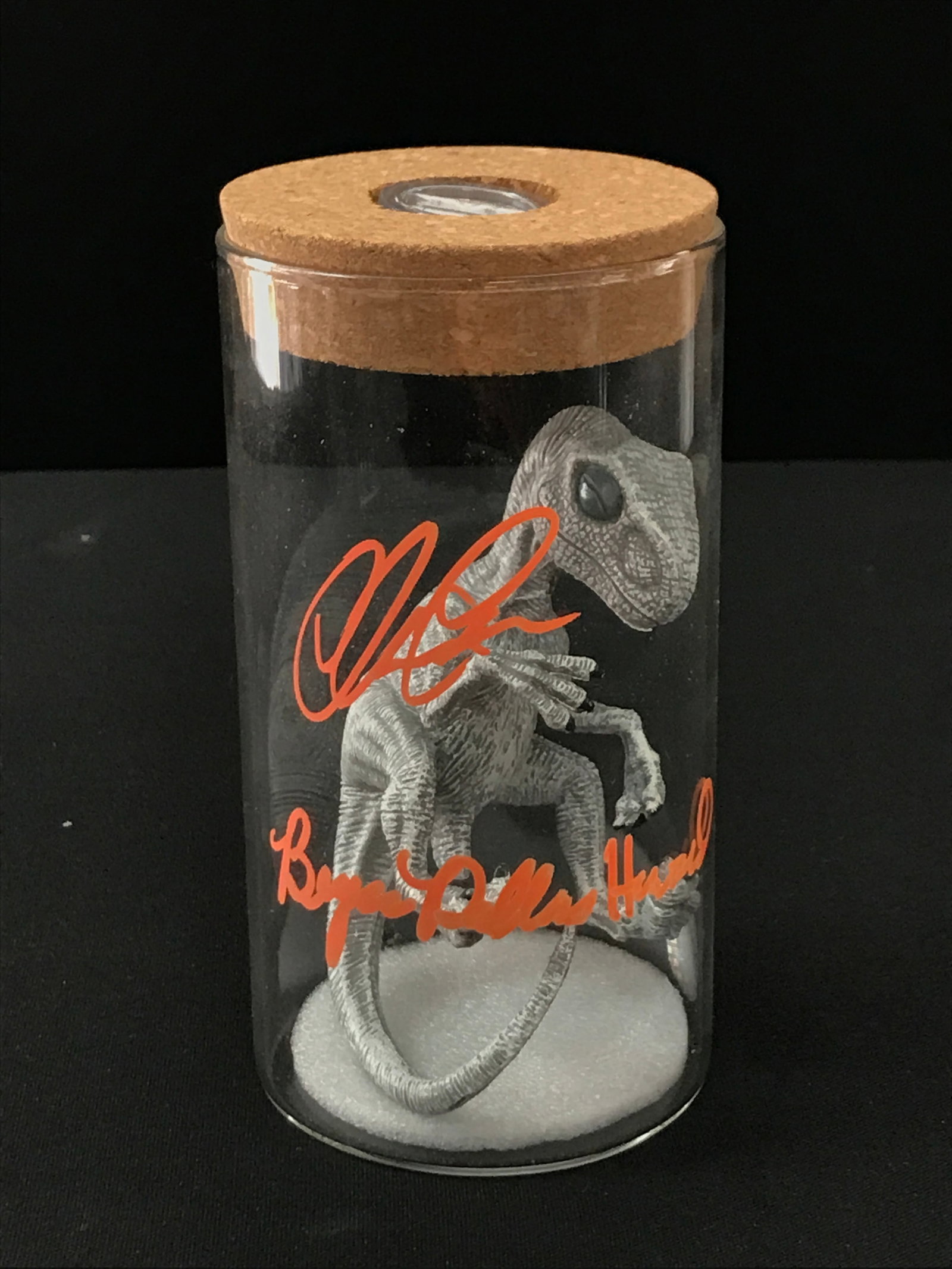 CHRIS PRATT AND BRYCE DALLAS HOWARD SIGNED RAPTOR EMBRYO WITH COA: Prices are in Canadian dollars