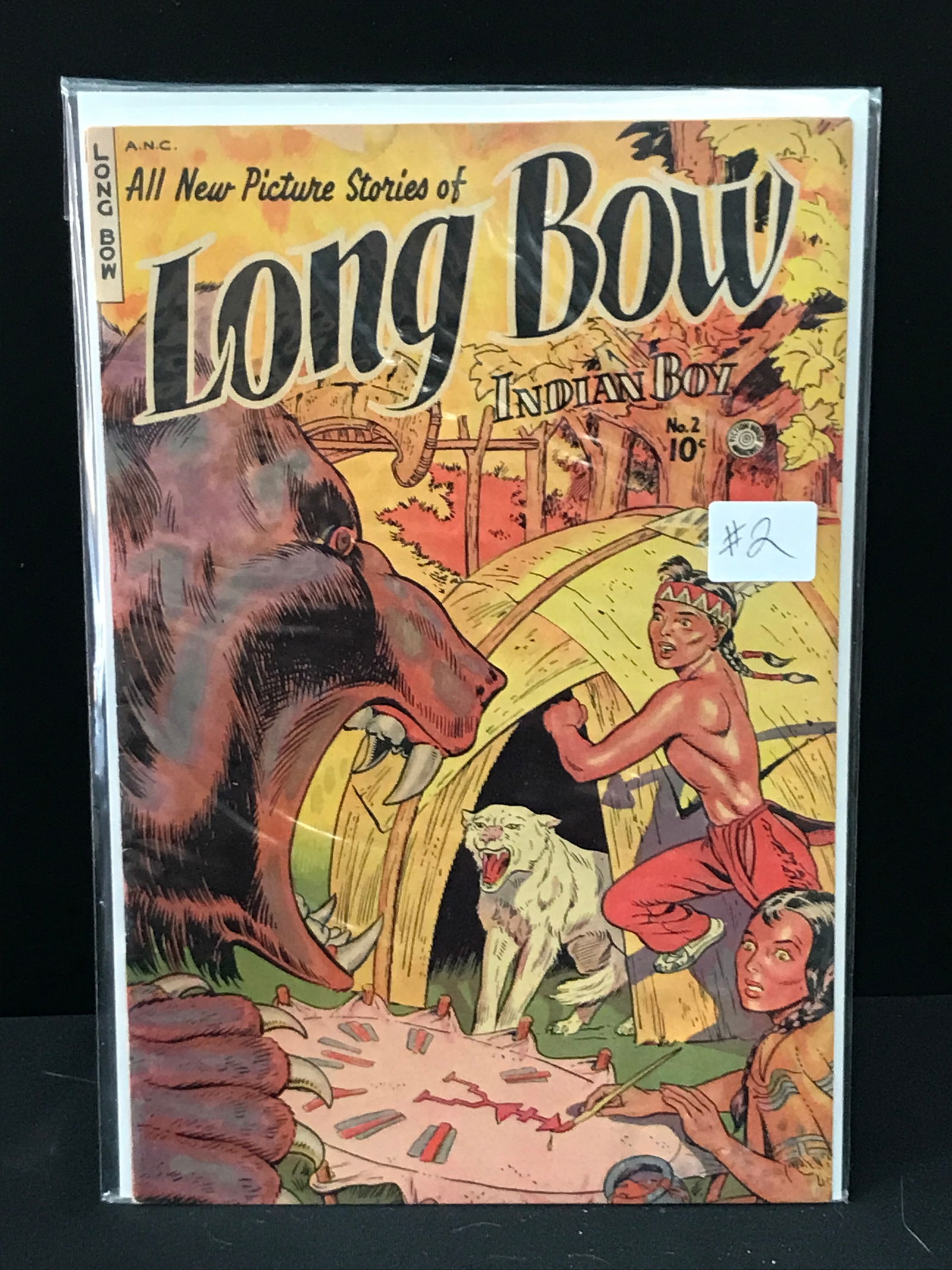 LONG BOW #2 - ANC (1 of 1)