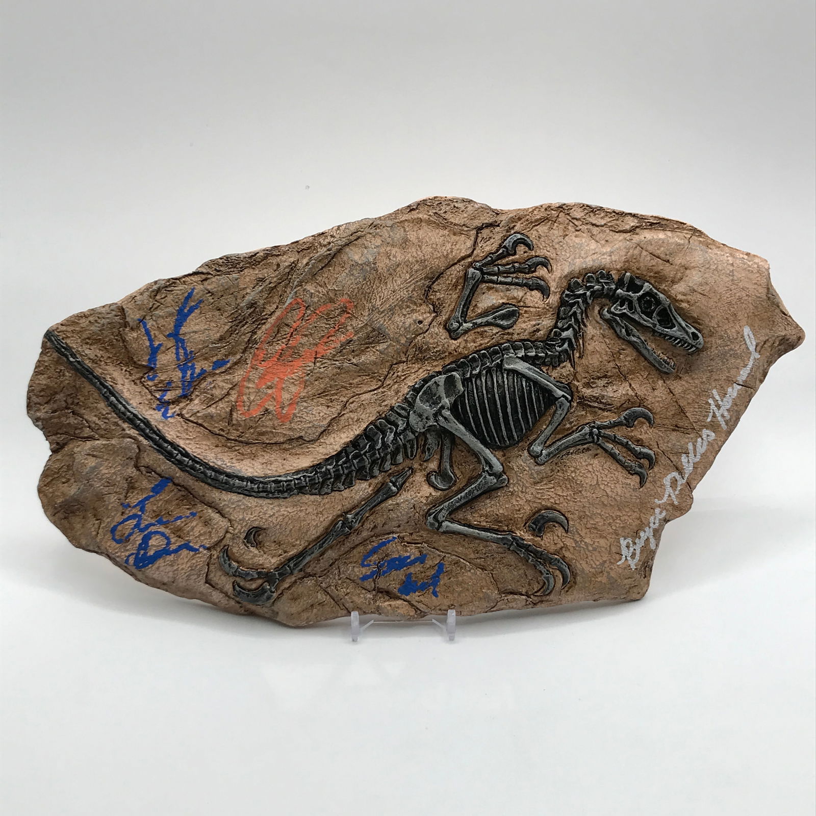 JURASSIC PARK MULTI SIGNED RAPTOR FOSSIL (PRATT,HOWARD,DERN,NEIL,GOLDBLUM (KB COA): Prices are in Canadian dollars