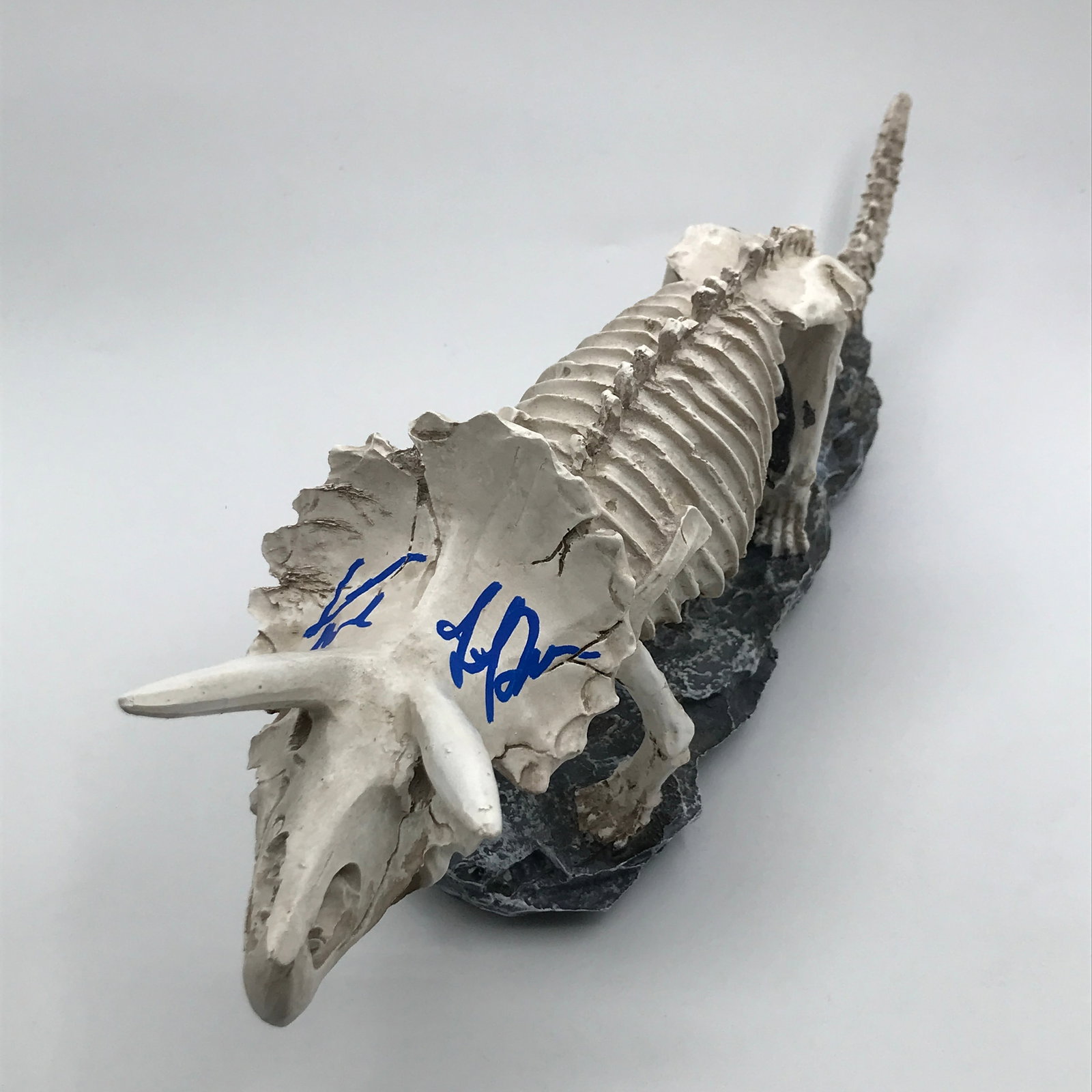 LAURA DERN AND SAM NEIL SIGNED JRASSIC PARK TRICERATOPS FOSIL (KB COA): Prices are in Canadian dollars