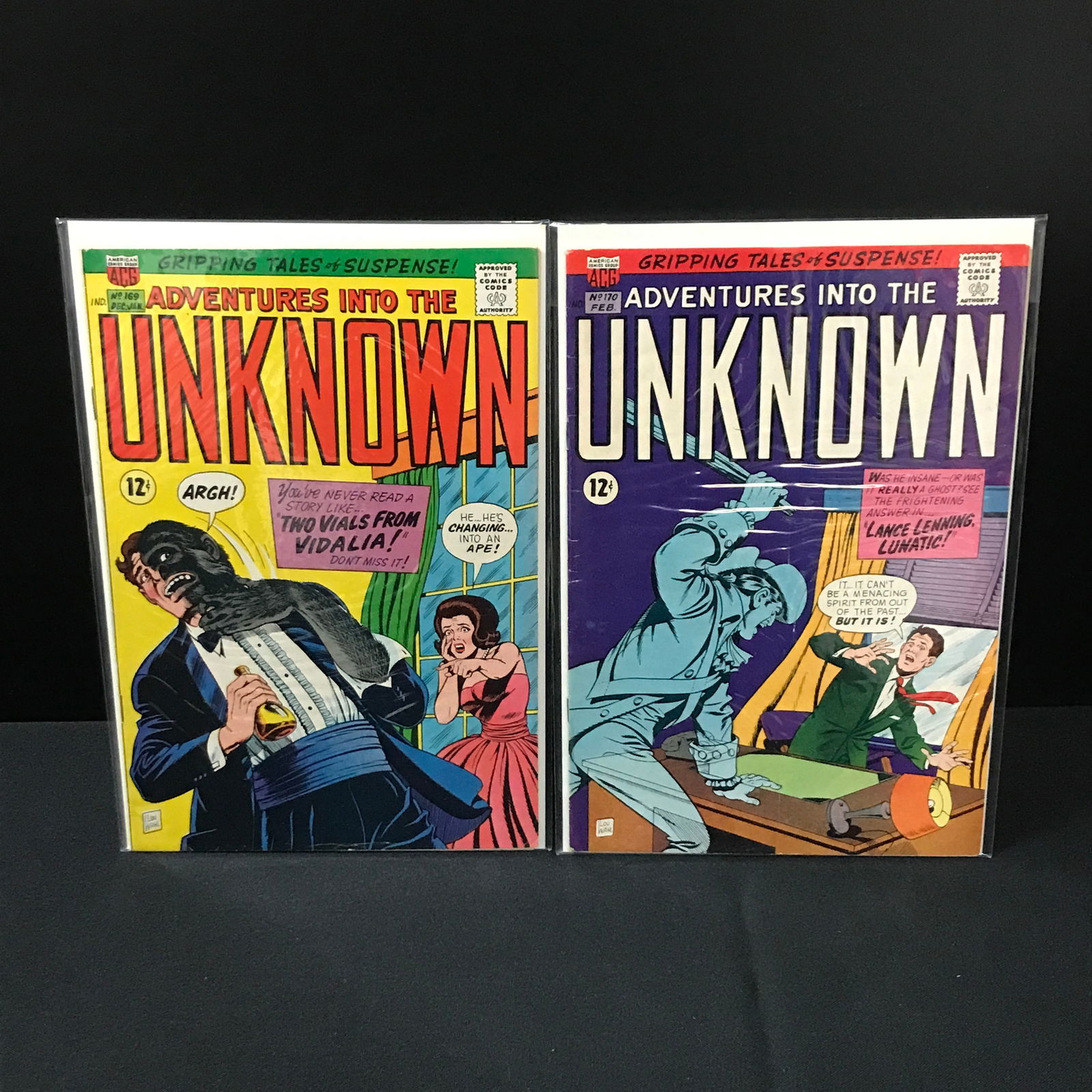 LOT OF 2 ADVENTURES INTO THE UNKNOWN COMICS #169-170 - ACG (1 of 1)