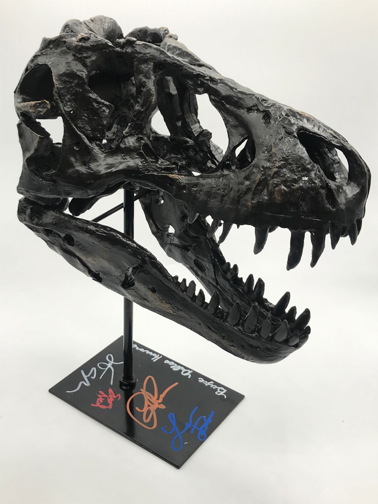 JURASSIC PARK CAST SIGNED T REX RESIN FOSSIL SKULL (KB COA) (1 of 4)