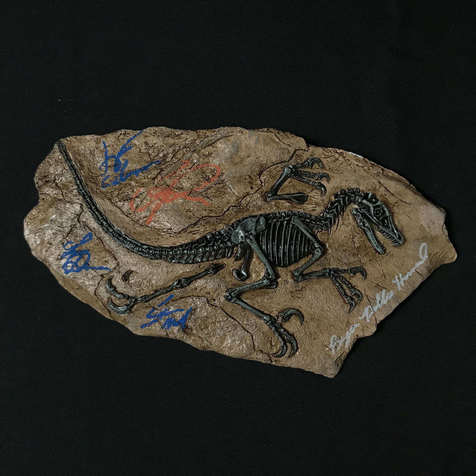 JURASSIC PARK MULTI SIGNED RESIN RAPTOR FOSSIL (PRATT,NEIL,GOLDBLUM,DERN,HOWARD) KB COA: Prices are in Canadian dollars