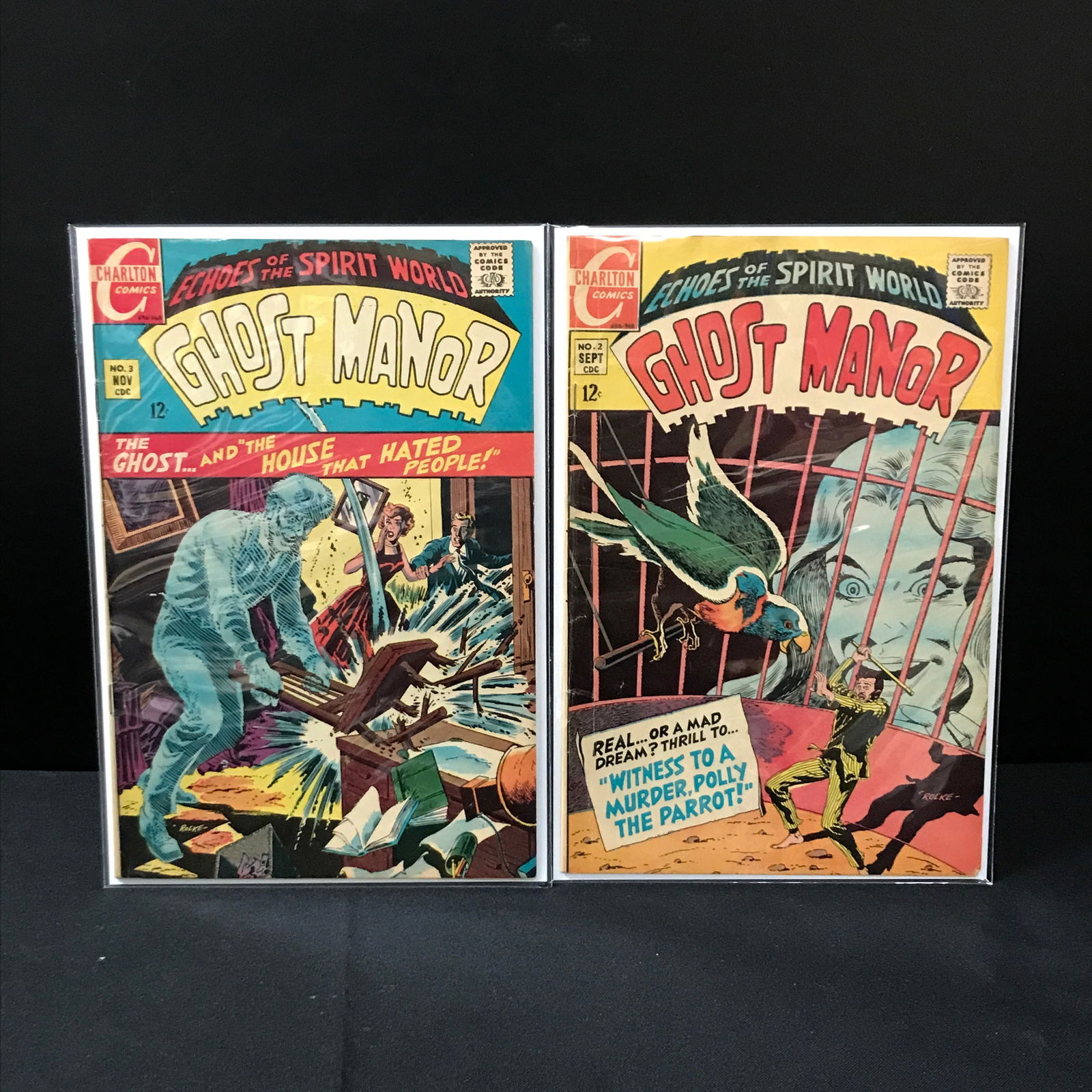 LOT OF 2 GHOST MANOR COMICS #2-3 - CHARLTON COMICS (1 of 1)