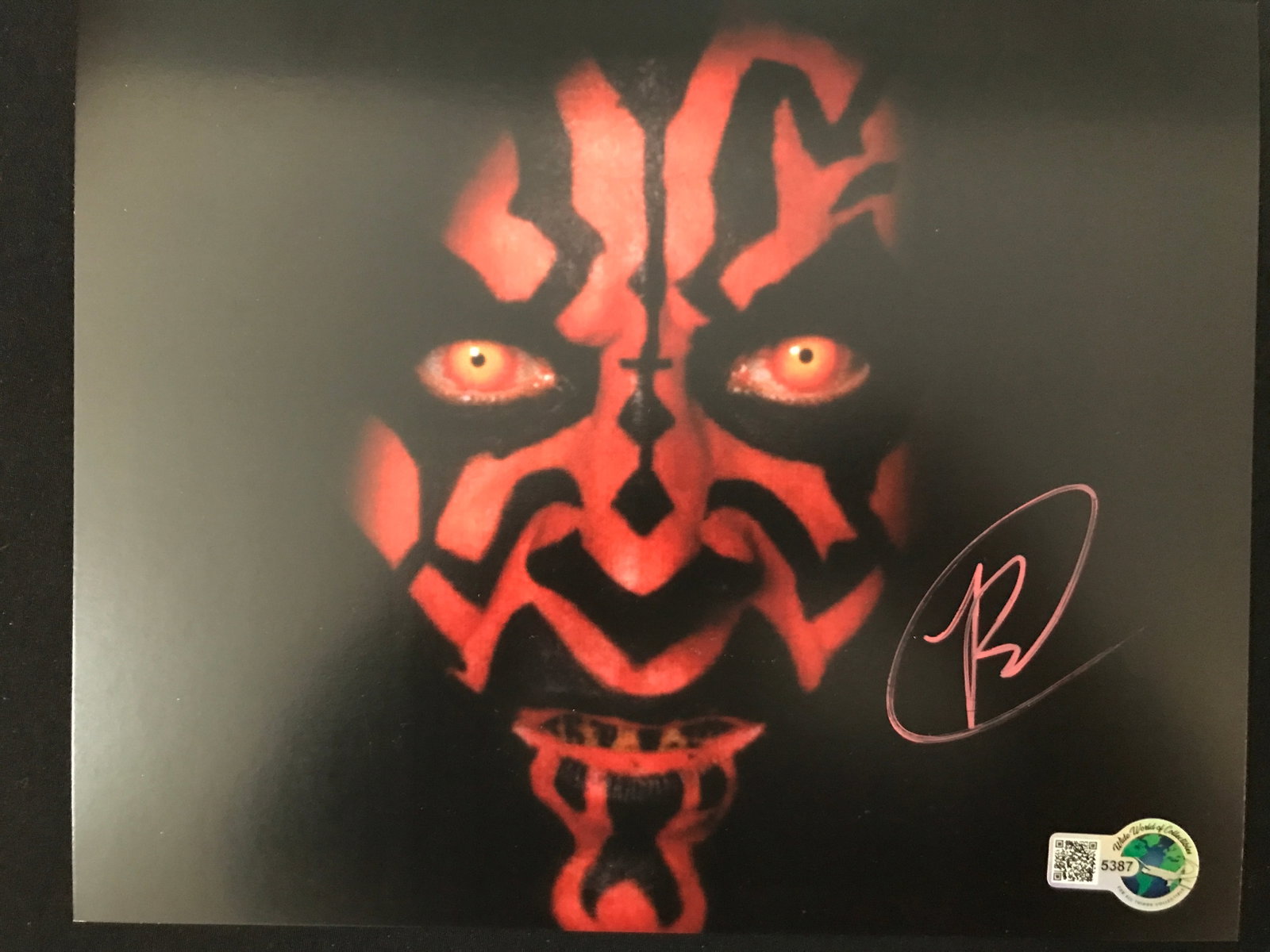 RAY PARK SIGNED DARTH MAUL 8X10 - WWOC COA: Prices are in Canadian dollars