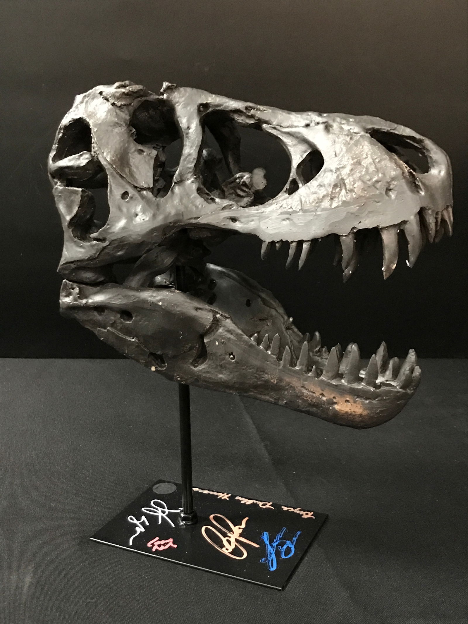 MULTI SIGNED JURASSIC PARK DINOSAUR SKULL STATUE INCLUDING PRATT AND DALLAS HOWARD - KB COA (1 of 2)