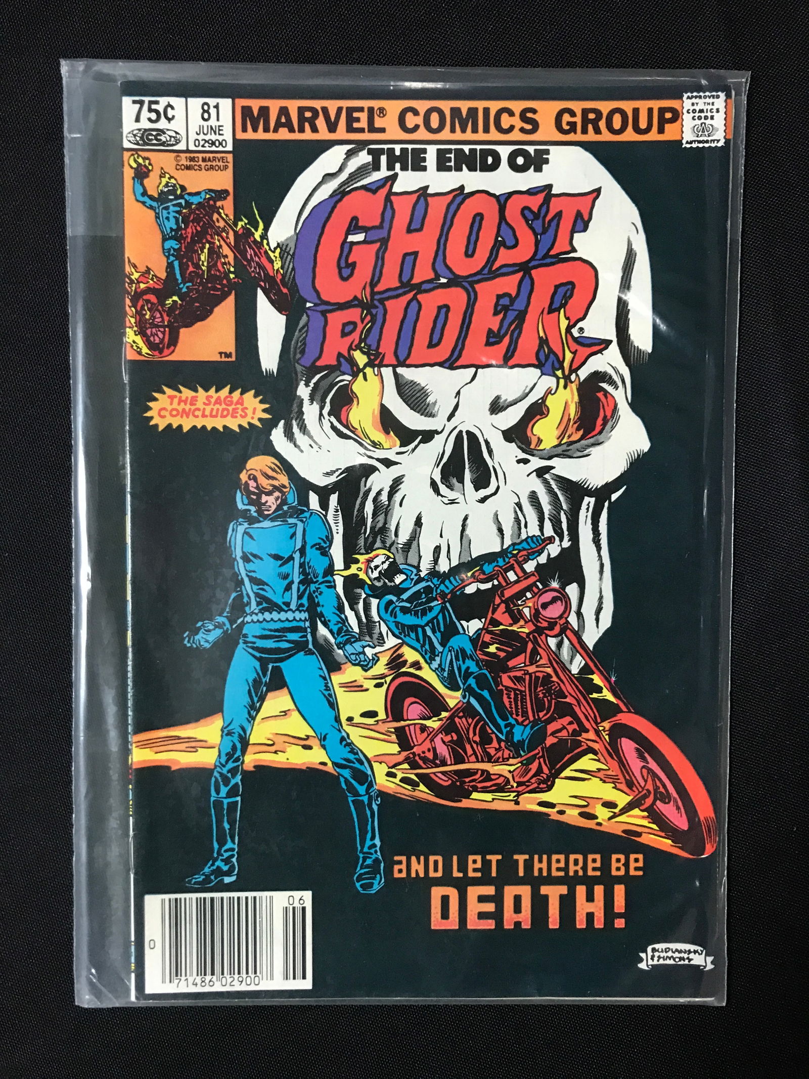 GHOST RIDER #81 - MARVEL COMICS (1 of 1)