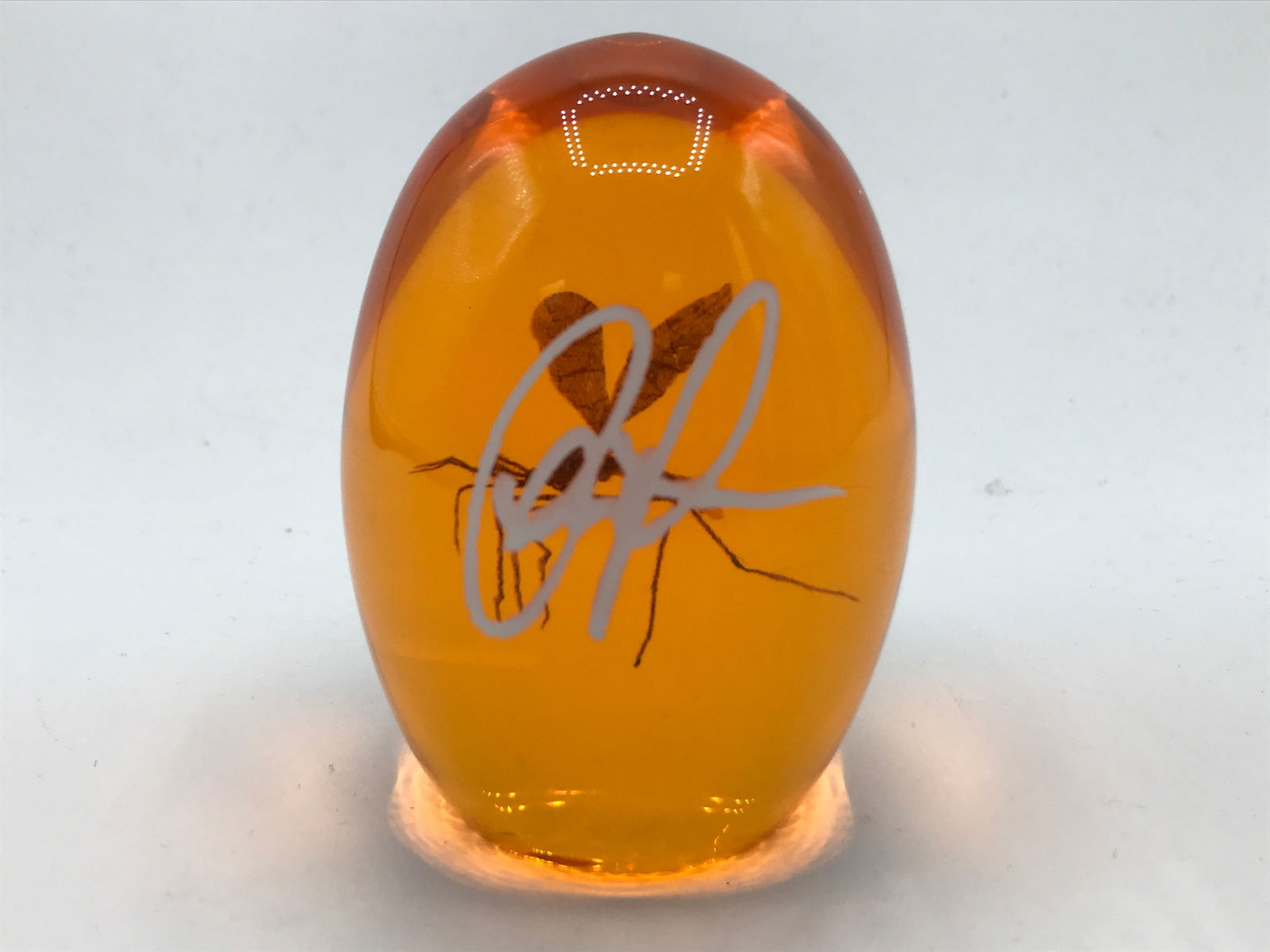 CHRIS PRATT SIGNED MOSQUITO IN AMBER PROP - KB COA: Prices are in Canadian dollars