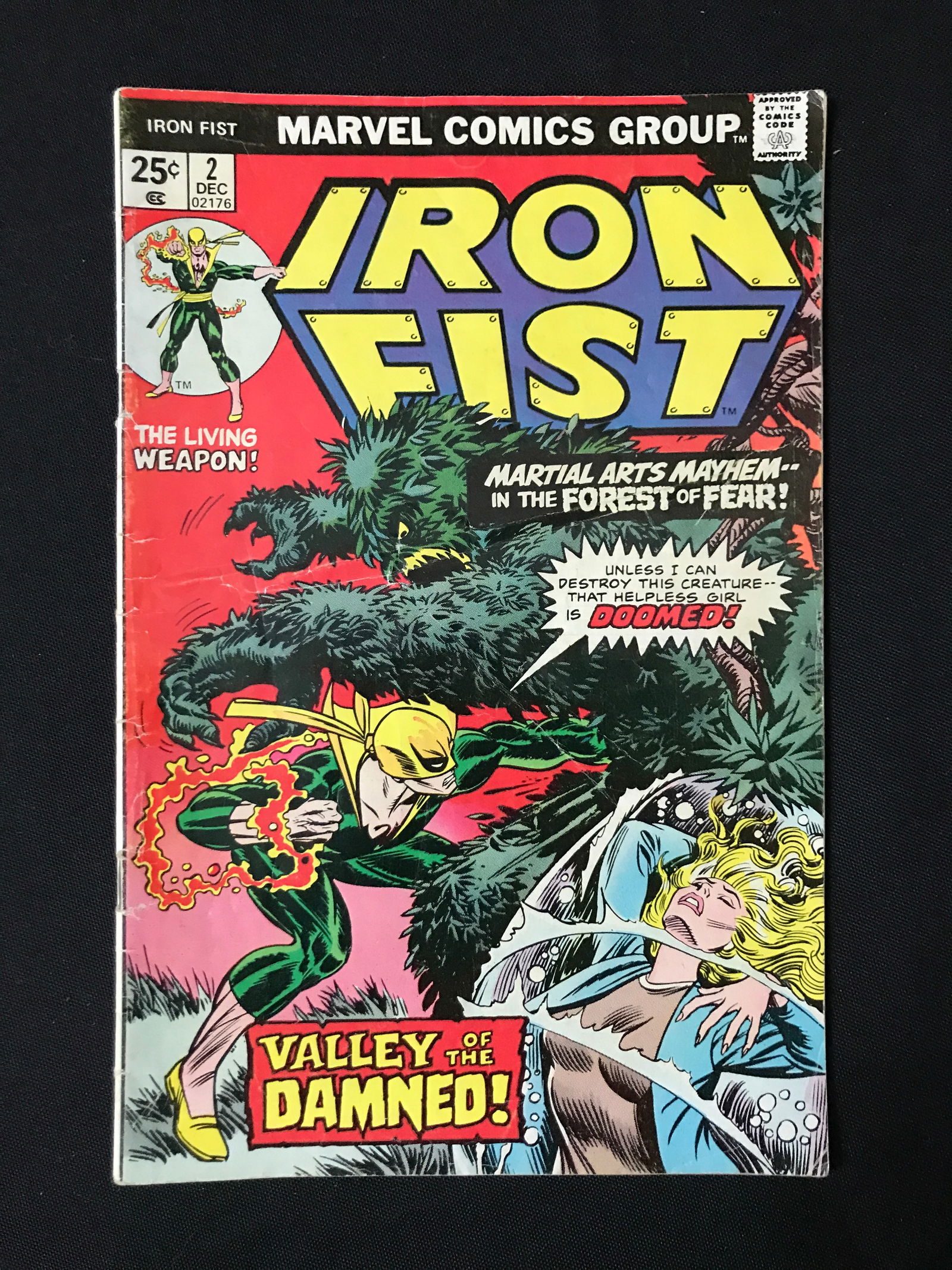 MARVEL COMICS IRON FIST NO.2 (1 of 1)