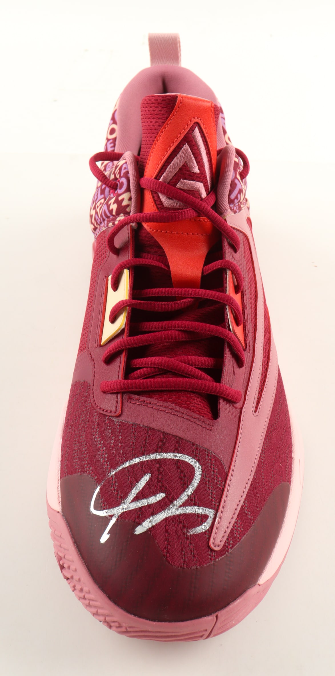 GIANNIS ANTETOKOUNMPO SIGNED SHOE BECKETT COA (1 of 4)