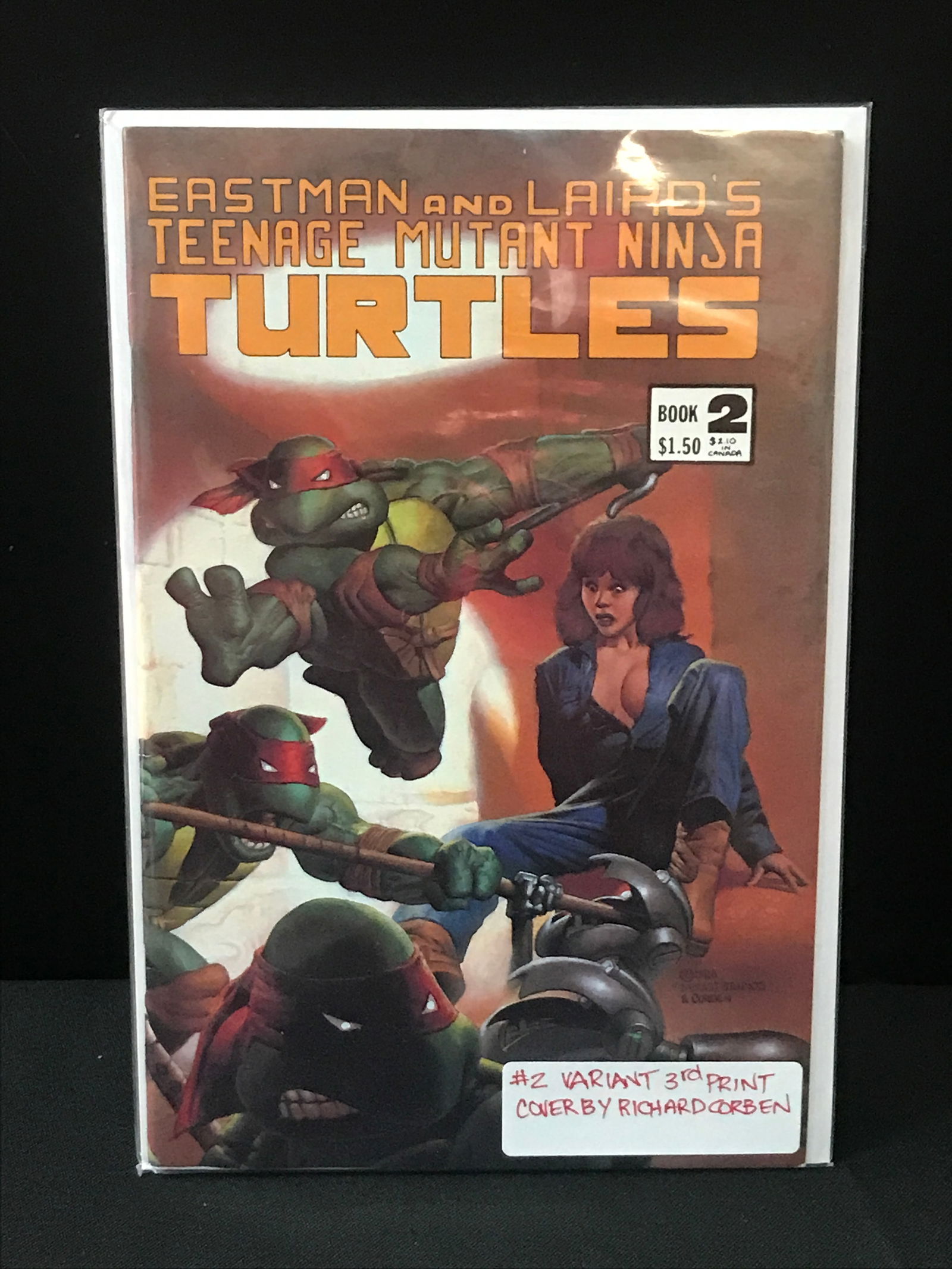 TEENAGE MUTANT NINJA TURTLES #2 VARIANT 3RD EDITION - EASTMAN AND LAIRD'S (1 of 1)