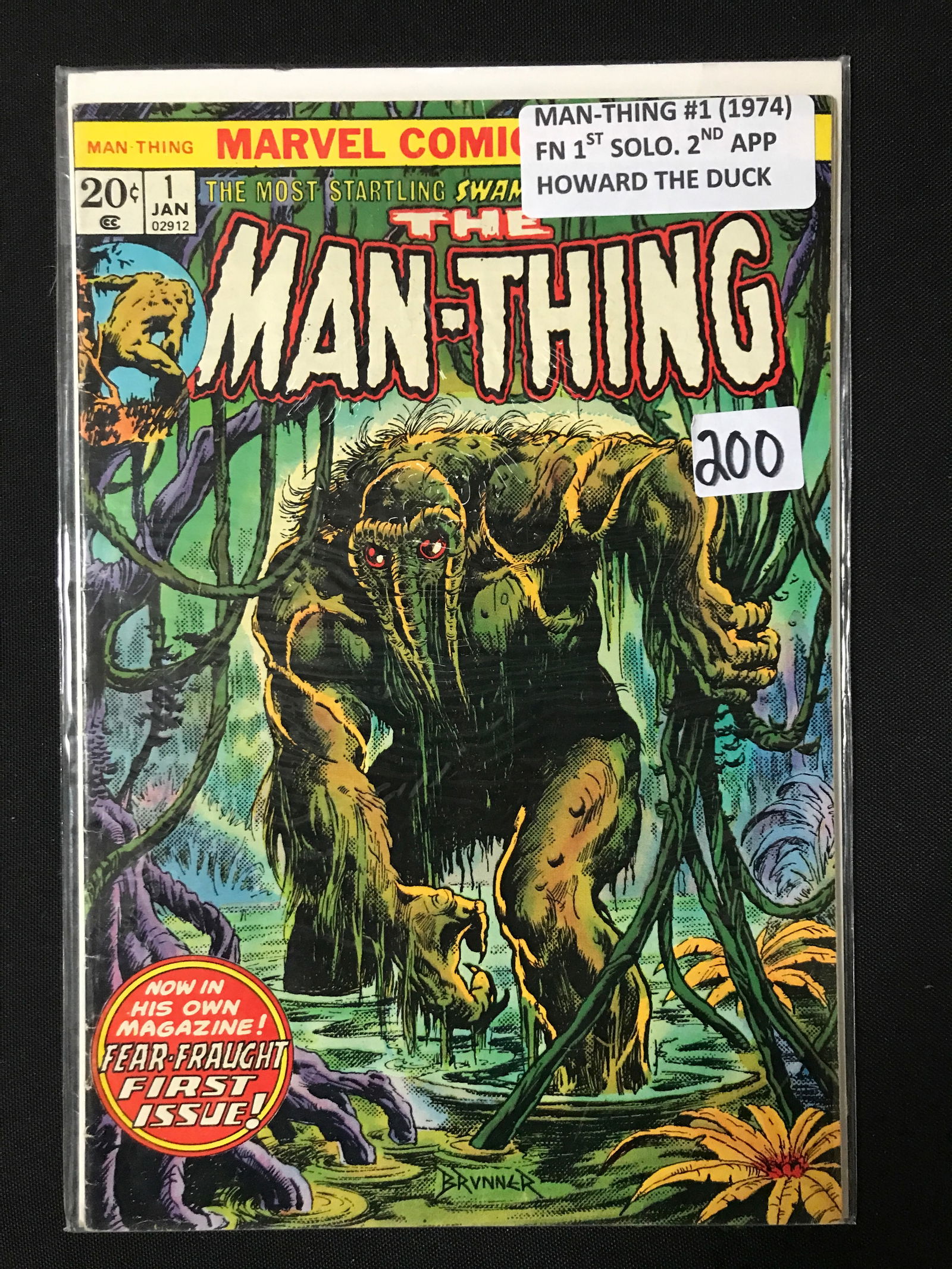 MAN THING #1 (1974) FN 1ST SOLO 2ND APP HOWARD THE DUCK - MARVEL COMICS (1 of 1)