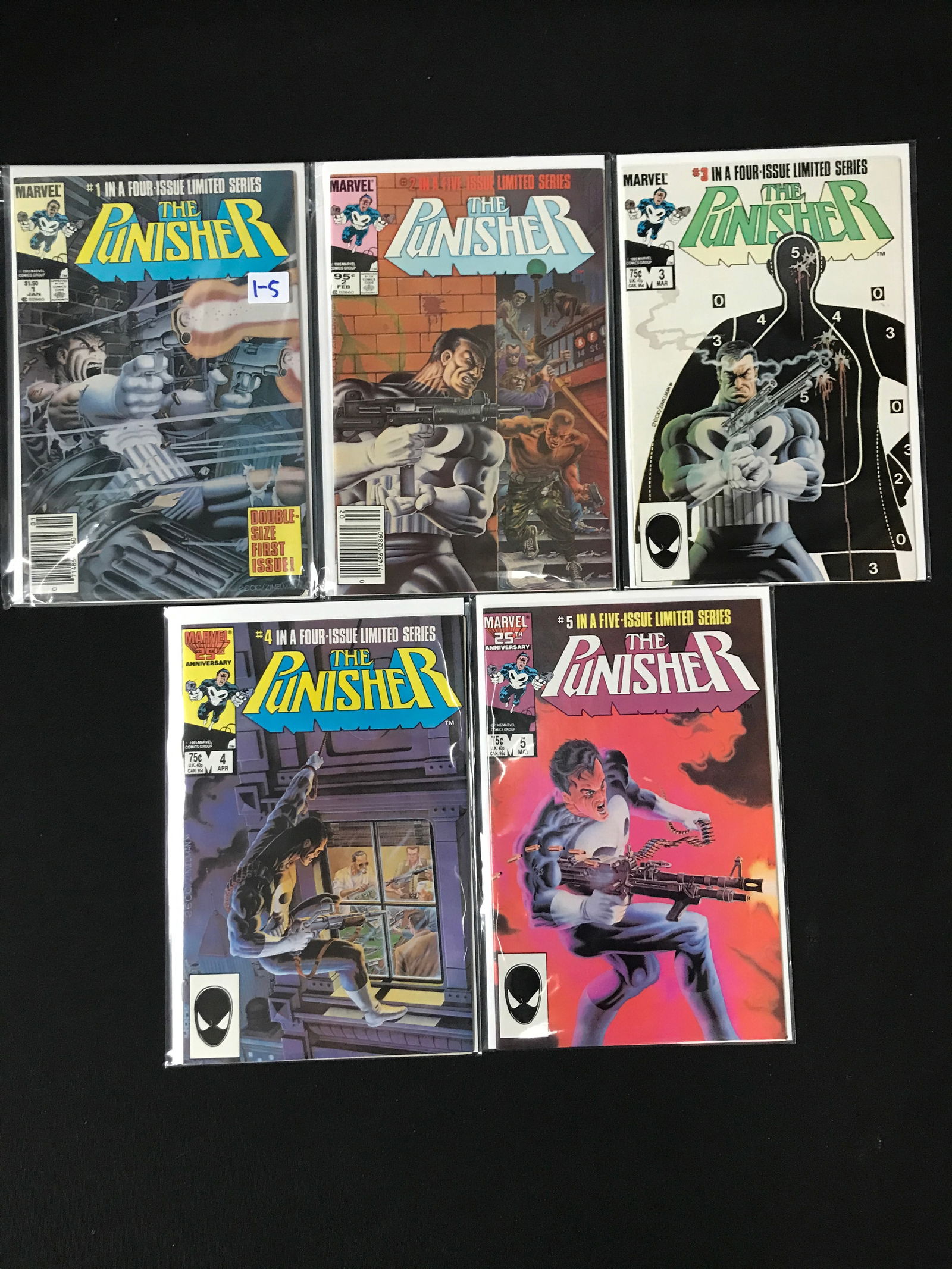LOT OF 5 THE PUNISHER COMICS #1-5 - MARVEL COMICS (1 of 1)