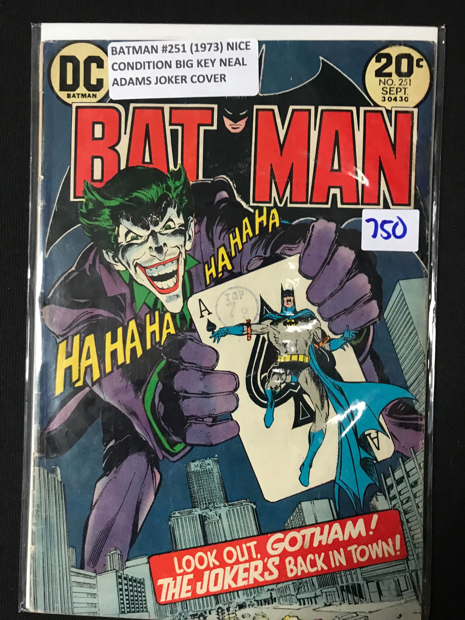 BATMAN #251 (1973) - DC COMICS (1 of 1)