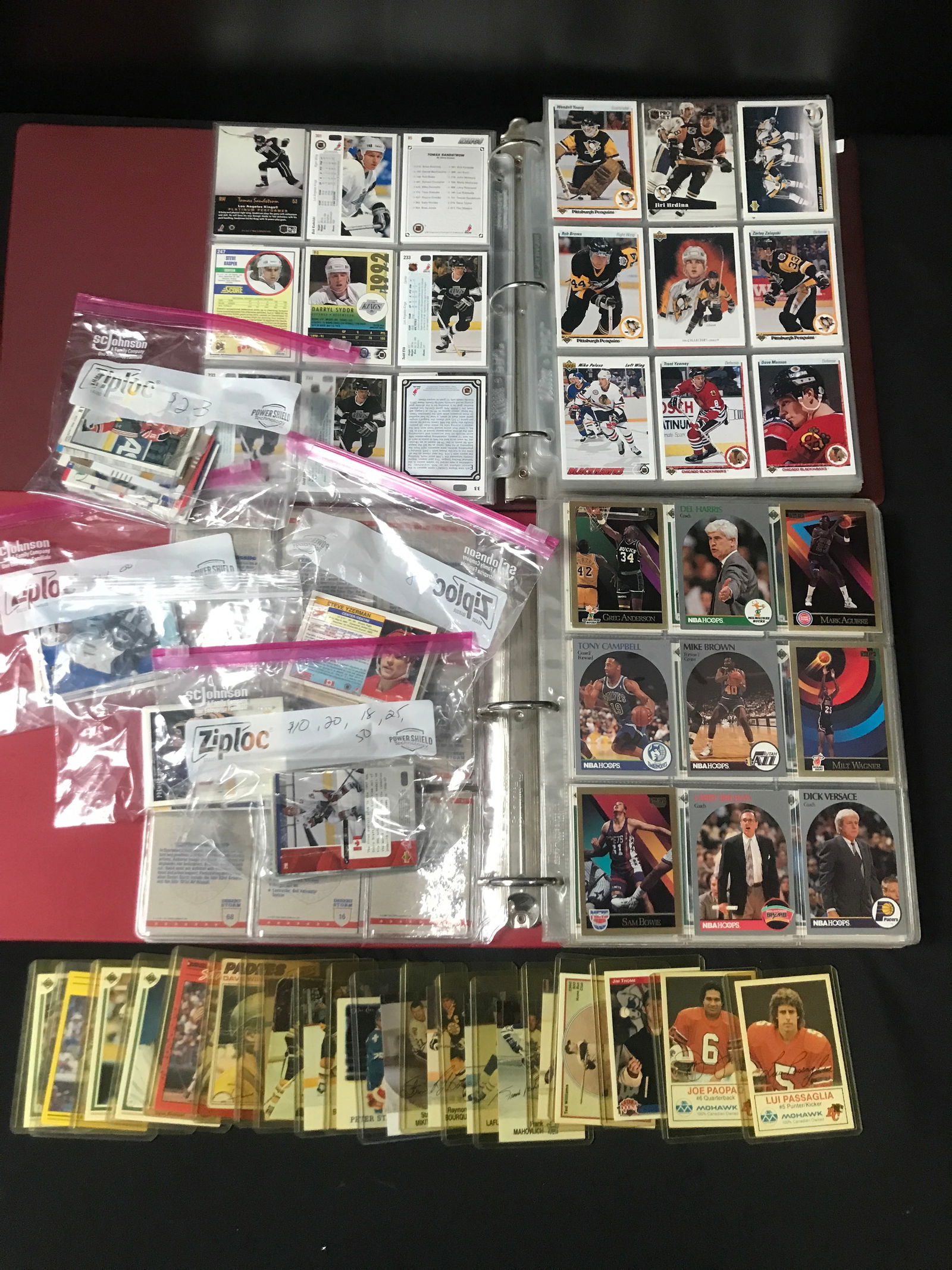 LOT OF 2 BINDERS OF MIXED SPORTS TRADING CARDS: Prices are in Canadian dollars