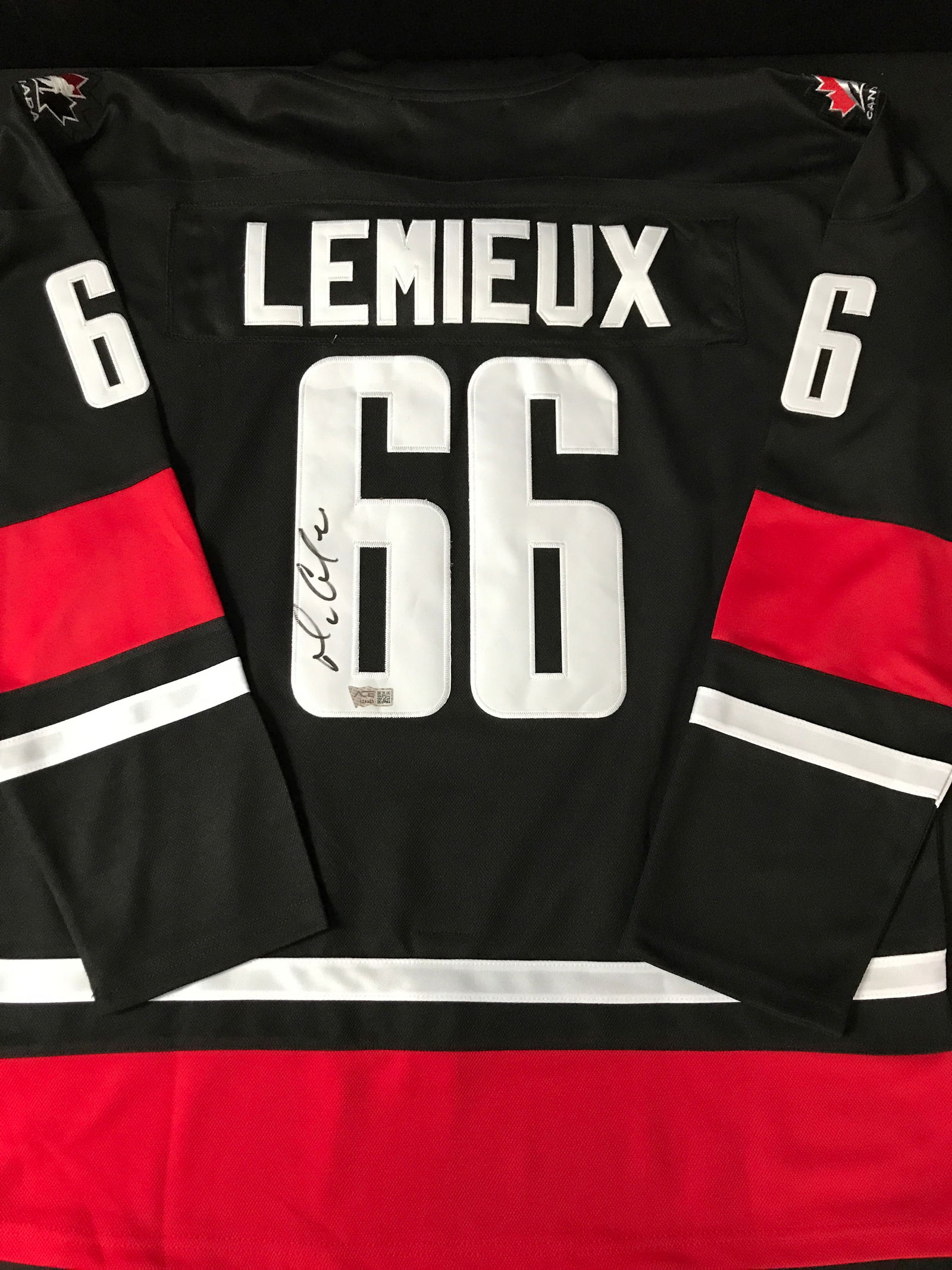 MARIO LEMIEUX SIGNED TEAM CANADA CUSTOM JERSEY - ACE COA (1 of 3)