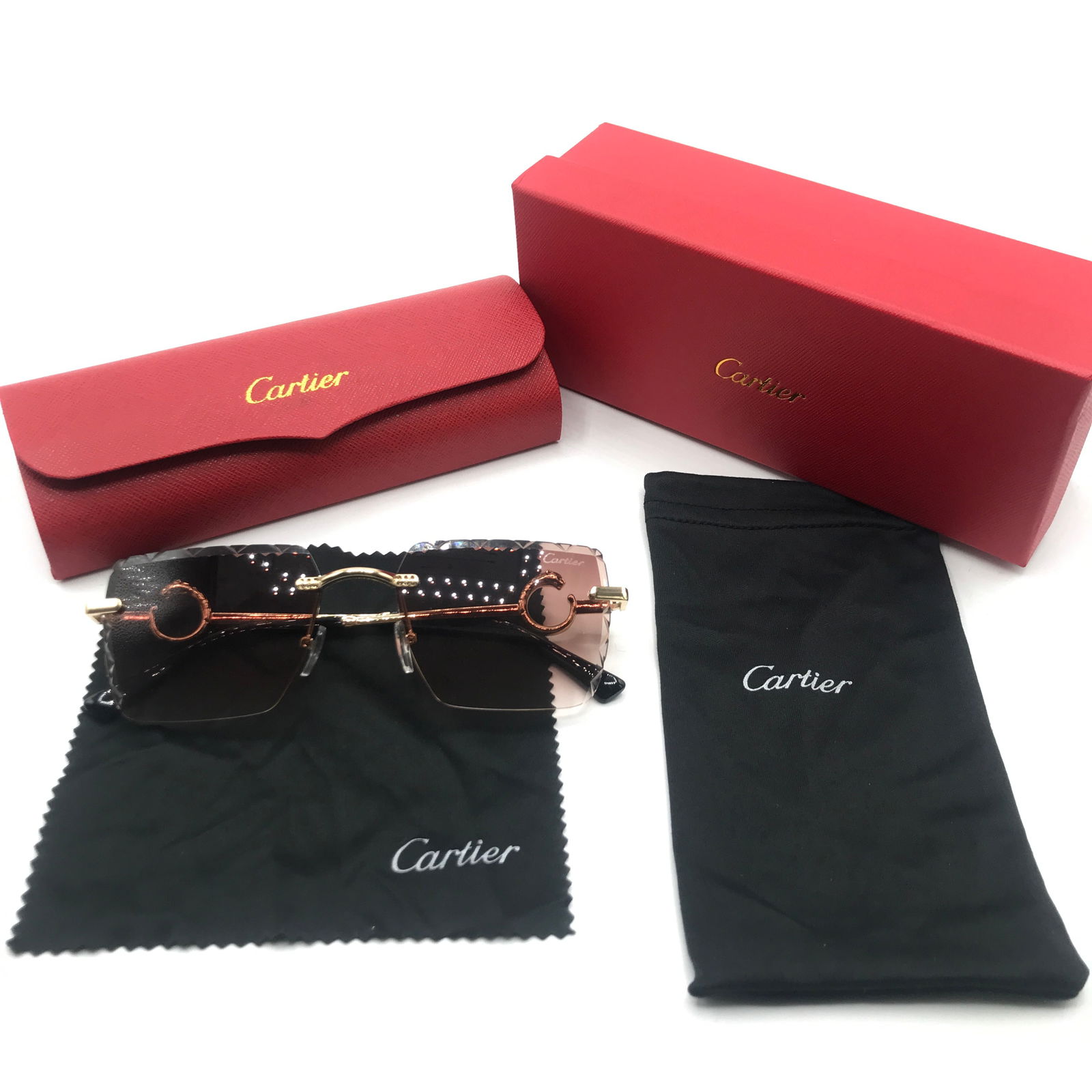 DESIGNER INSPIRED SUNGLASSES WITH ACCESSORIES (1 of 1)