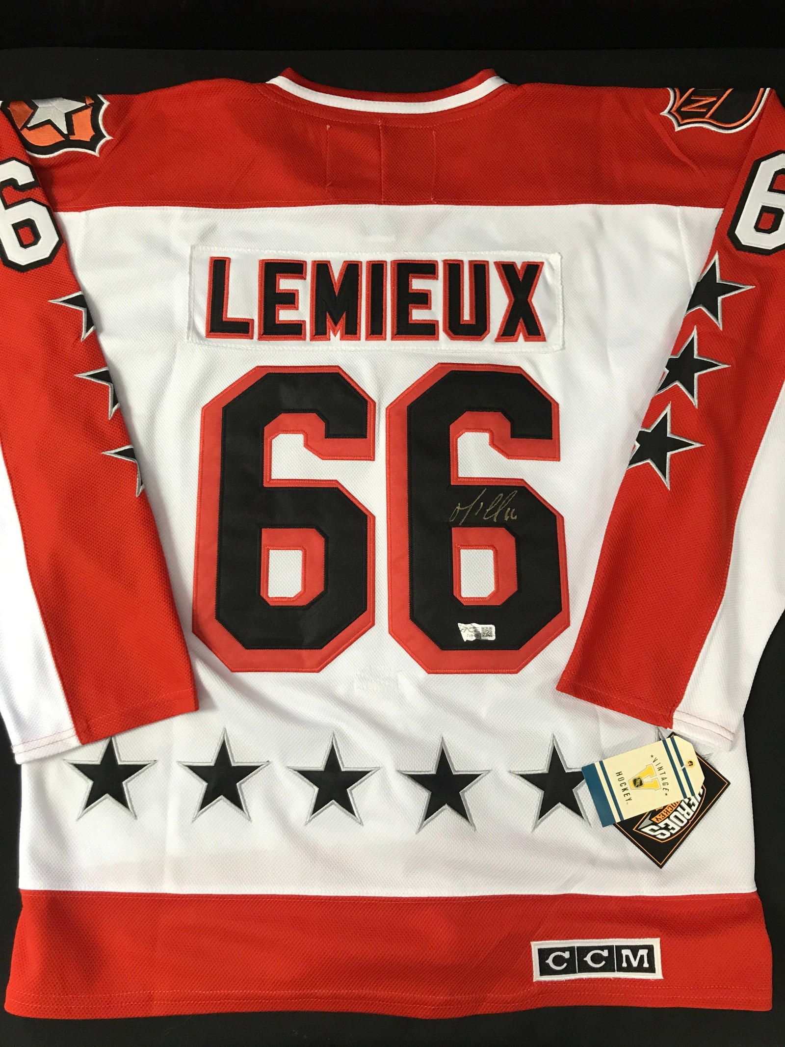 MARIO LEMIEUX SIGNED TEAM WALES CUSTOM JERSEY - ACE COA: Prices are in Canadian dollars