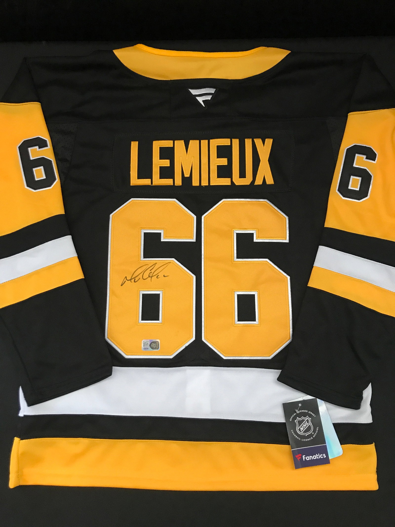 MARIO LEMIEUX SIGNED PITTSBURGH PENGUINS CUSTOM JERSEY - ELITE SPORTS COA: Prices are in Canadian dollars
