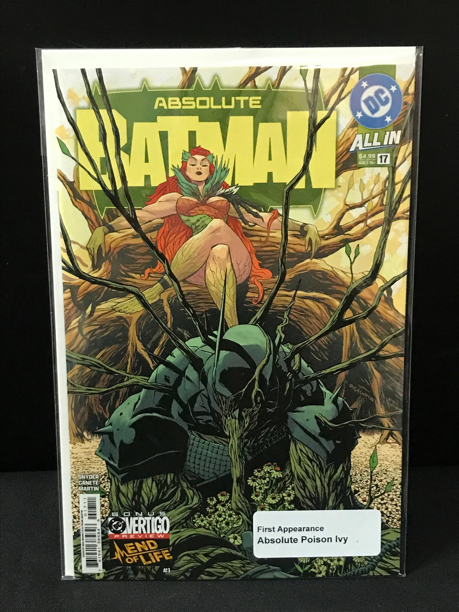 DC COMICS NO.17 ABSOLUTE BATMAN (1 of 1)