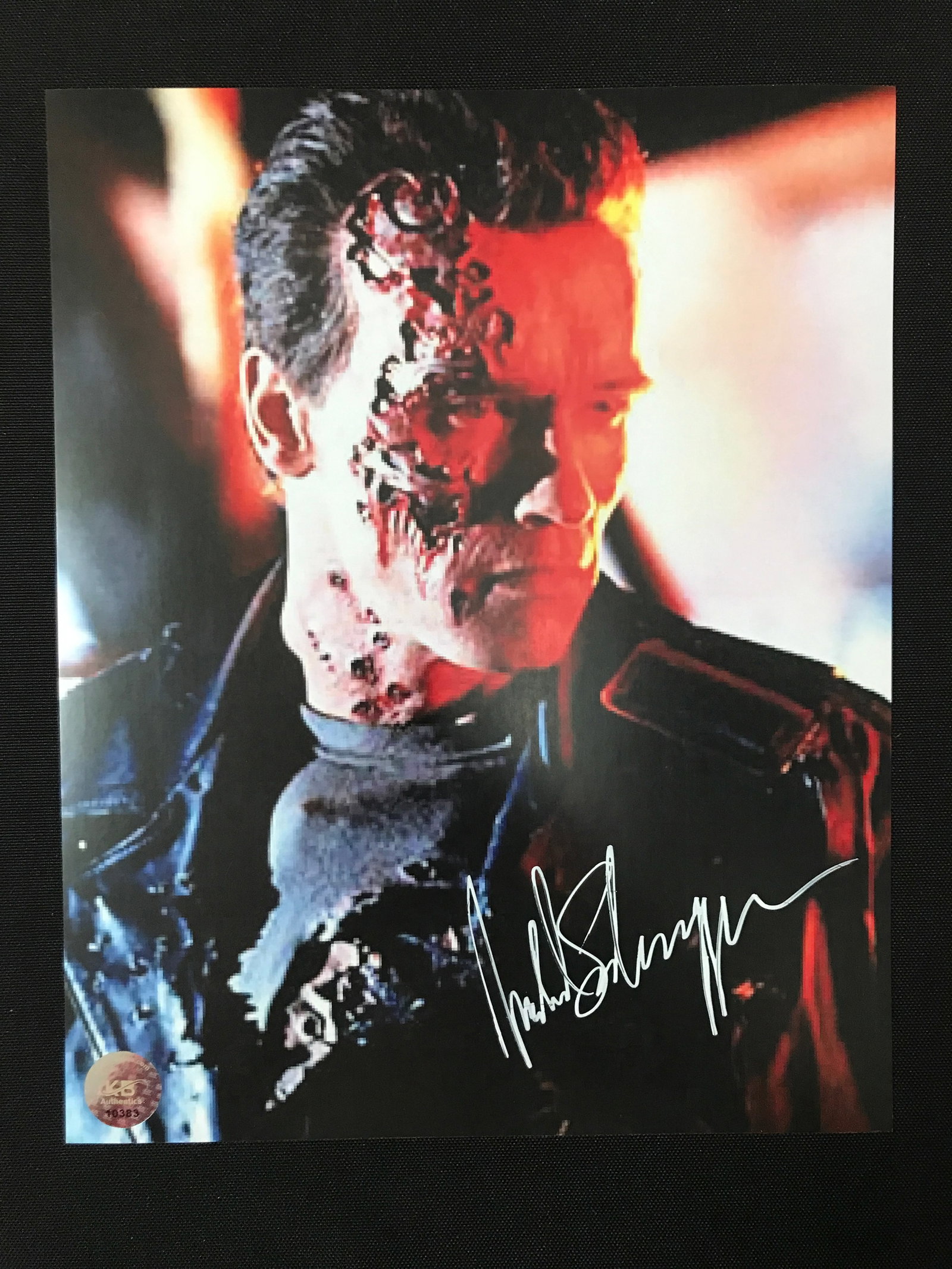 ARNOLD SCHWARZENEGGER SIGNED TERMINATOR 8X10 - KB COA: Prices are in Canadian dollars