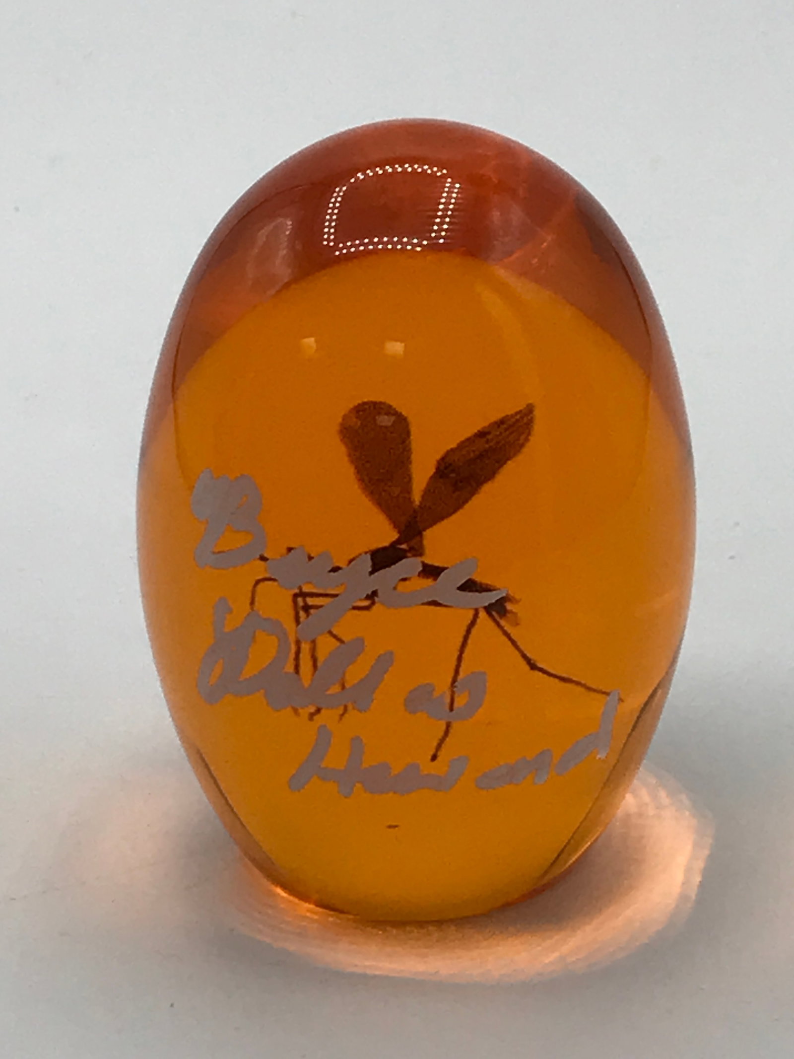 BRYCE DALLAS HOWARD SIGNED PROP AMBER EGG - WWOC COA (1 of 1)