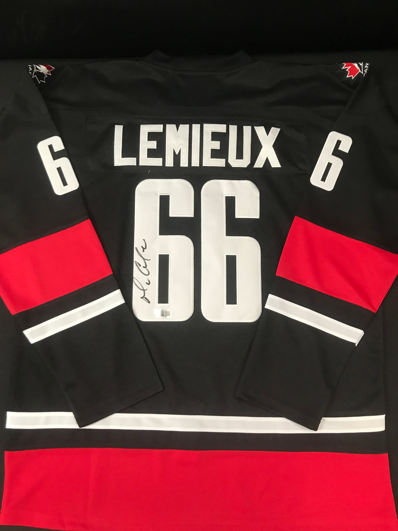 MARIO LEMIEUX SIGNED TEAM CANADA CUSTOM JERSEY - ACE COA: Prices are in Canadian dollars