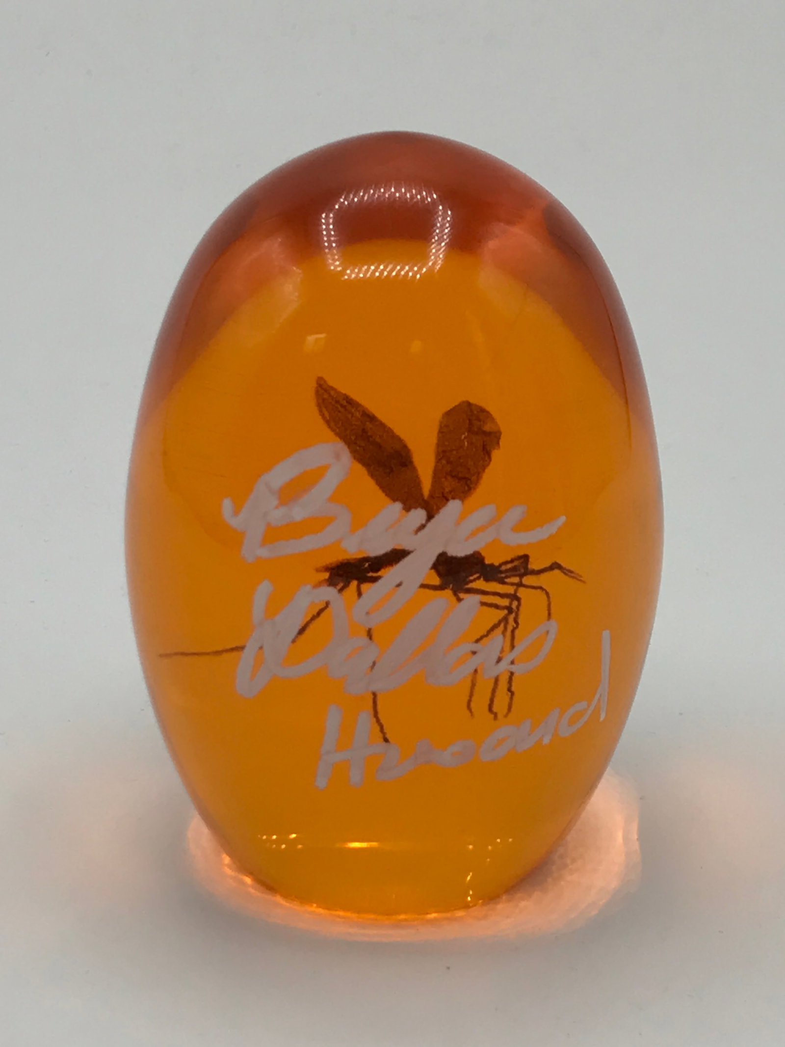 BRYCE DALLAS HOWARD SIGNED JURASSIC PARK AMBER EGG PROP - WWOC COA: Prices are in Canadian dollars