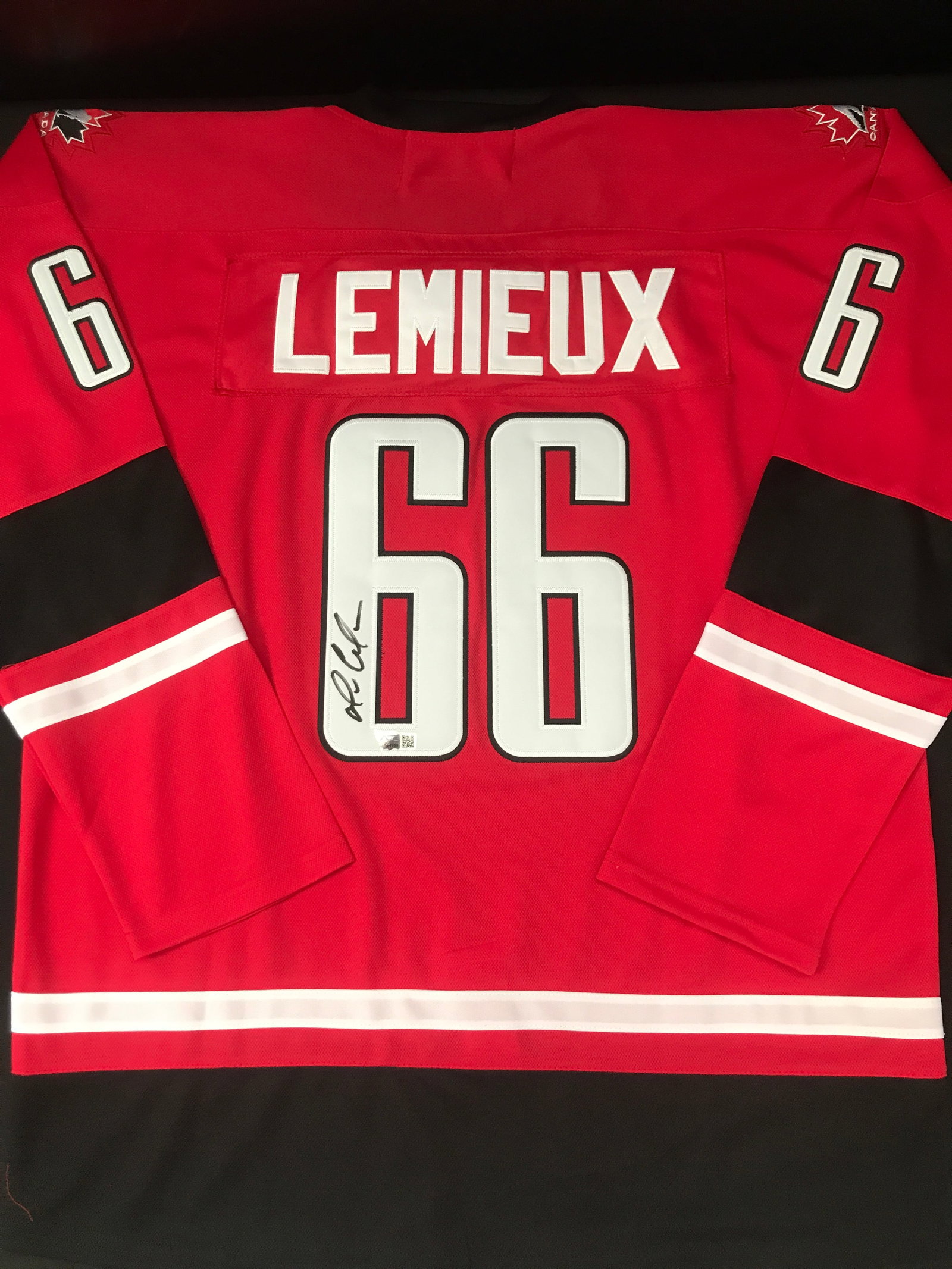 MARIO LEMIEUX SIGNED TEAM CANADA CUSTOM JERSEY - ACE COA: Prices are in Canadian dollars