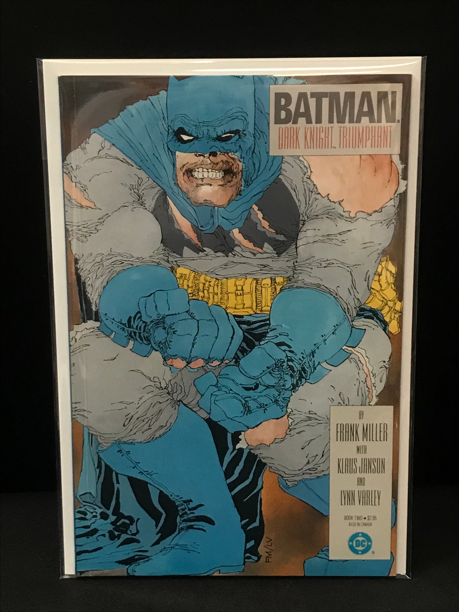 BATMAN THE DARK KNIGHT TRIUMPHANT GRAPHIC NOVEL - DC (1 of 1)