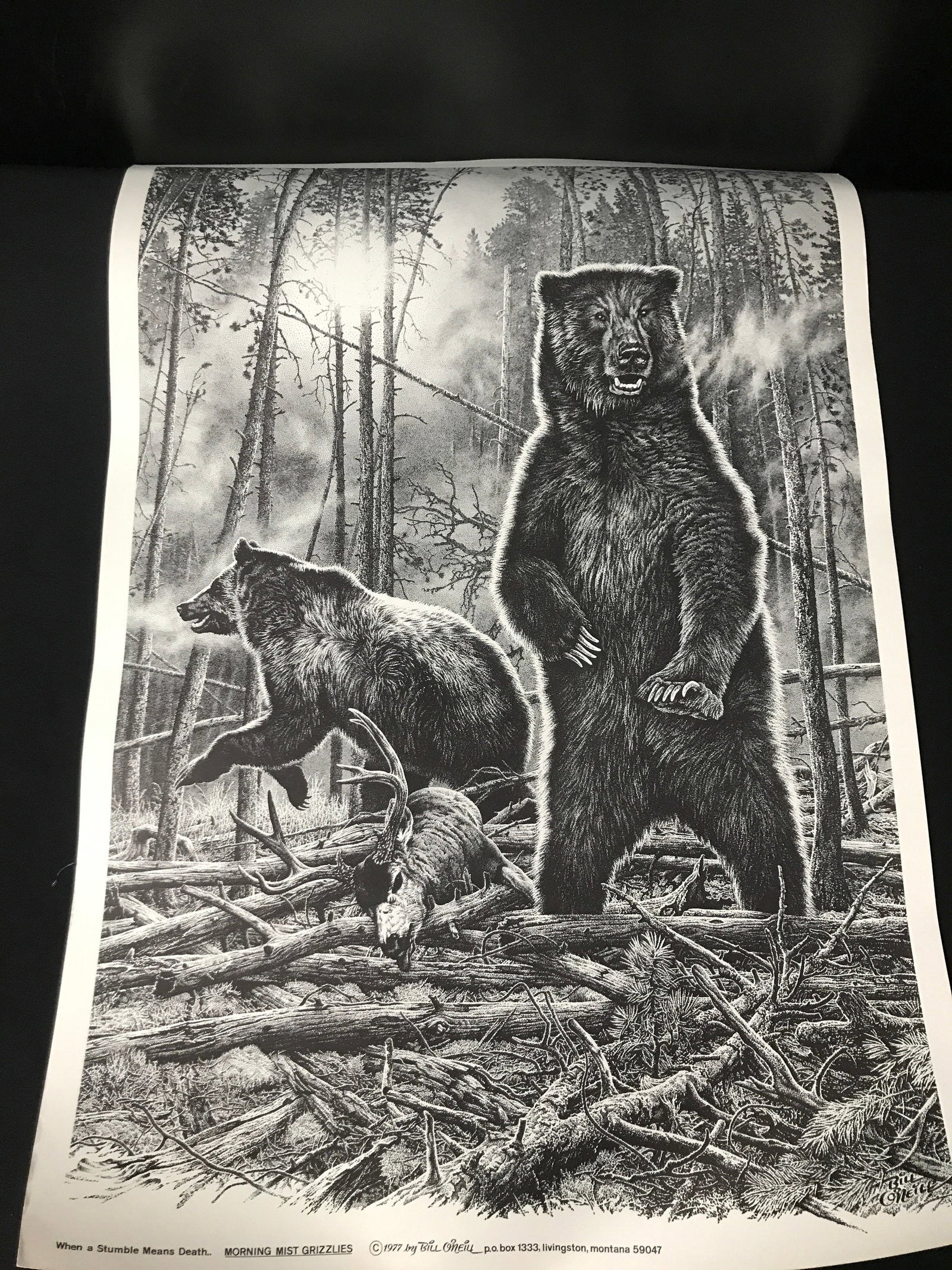 1977 BILL ONEIL MORNING MIST GRIZZLIES PRINT (1 of 1)