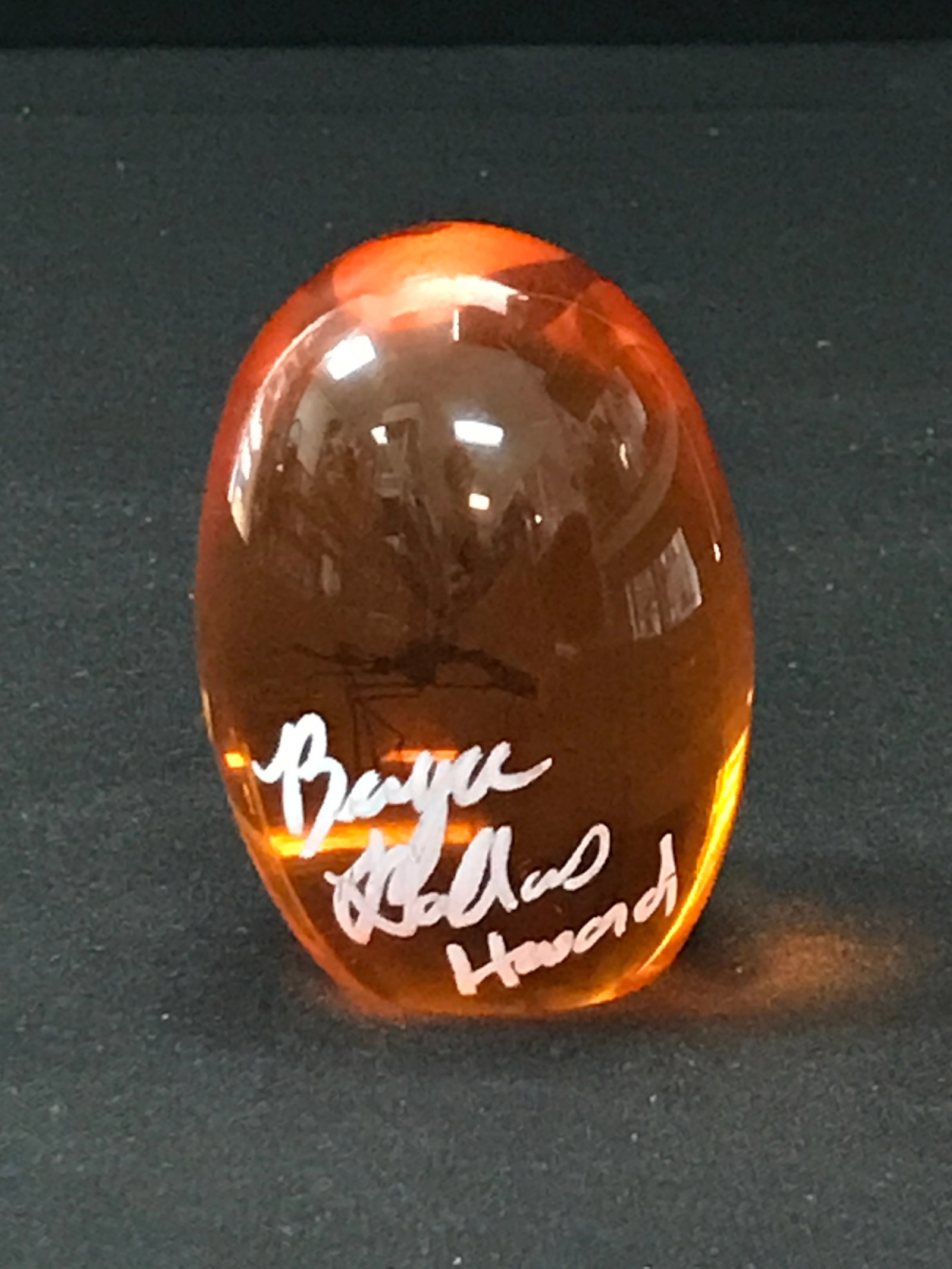BRYCE DALLAS HOWARD SIGNED JURASSIC PARK AMBER (WWOC COA) (1 of 1)