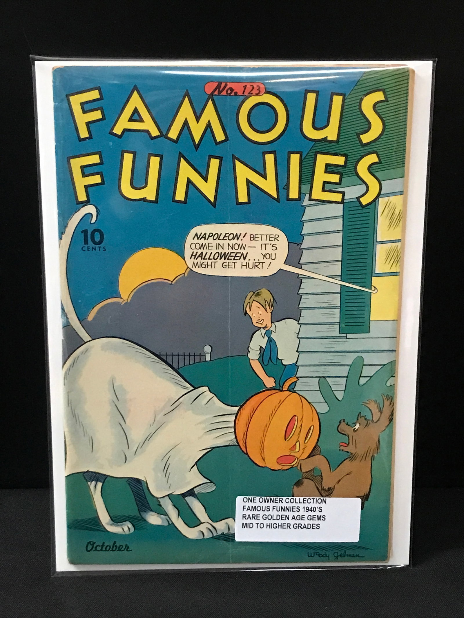 FAMOUS FUNNIES #123 ONE OWNER COLLECTION (1940'S) (1 of 1)